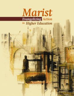 Marist Evangelizing Action in Higher Education