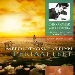 Meediotyöskentelyn periaatteet