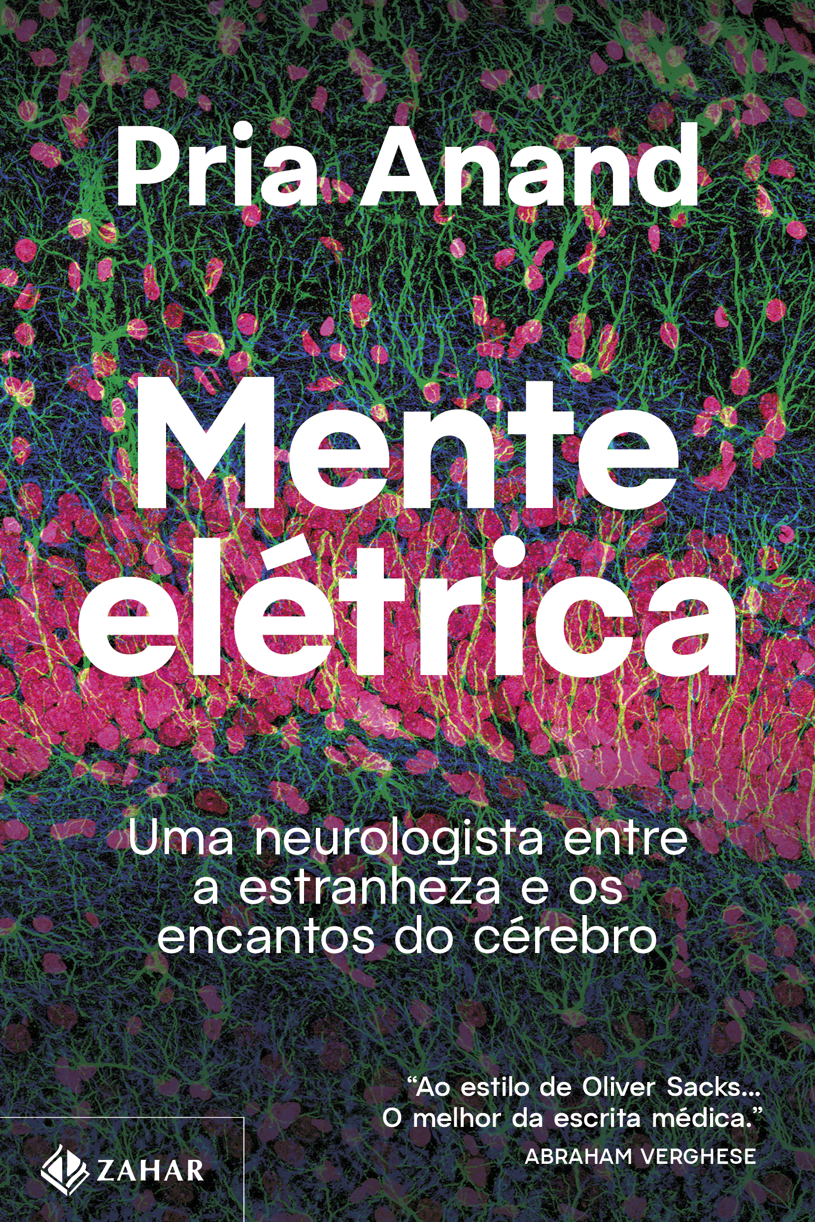 Mente elétrica