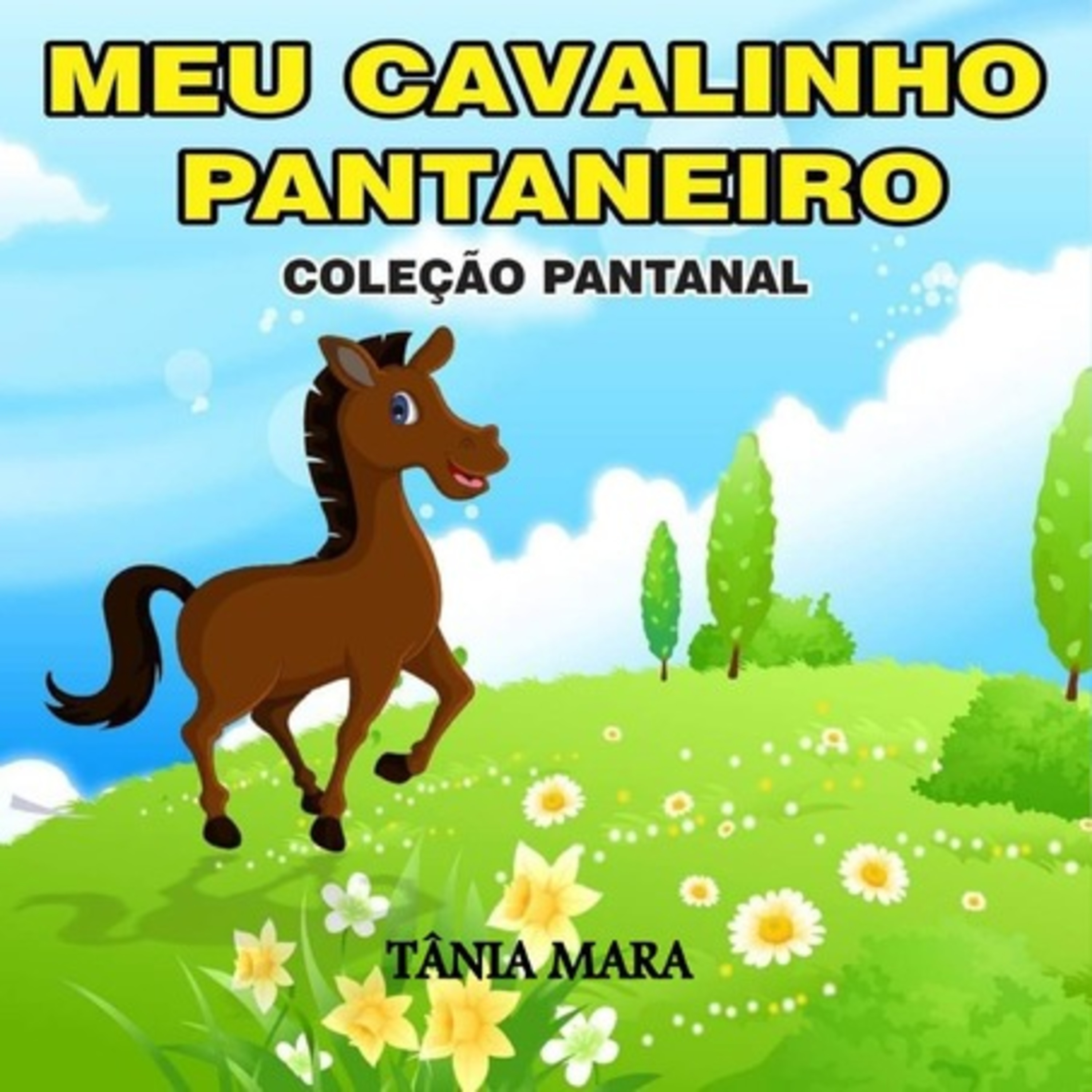 Meu Cavalinho Pantaneiro