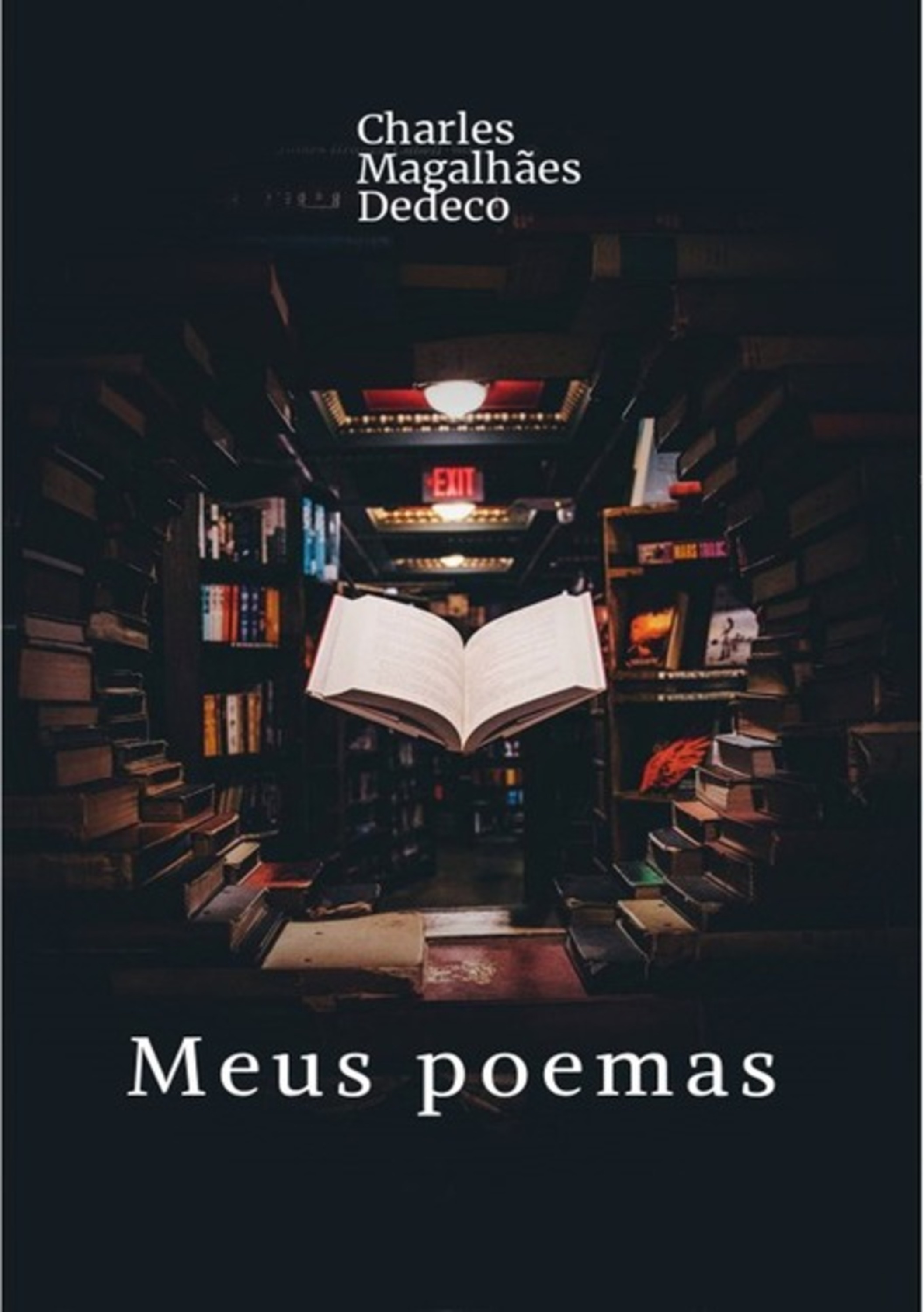 Meus Poemas