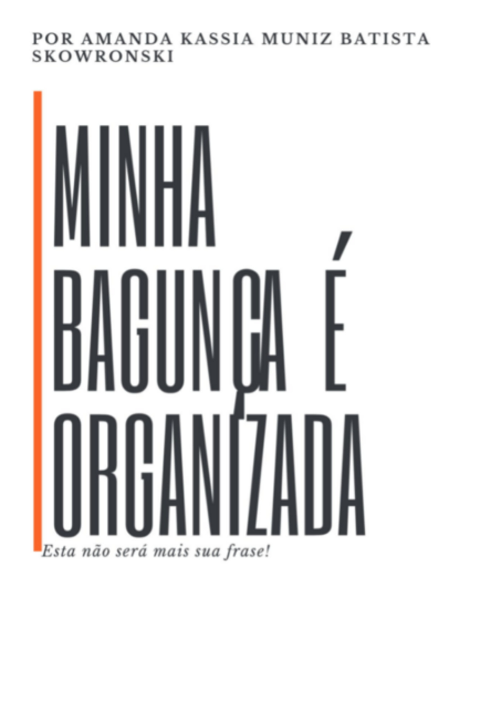 Minha Bagunça É Organizada