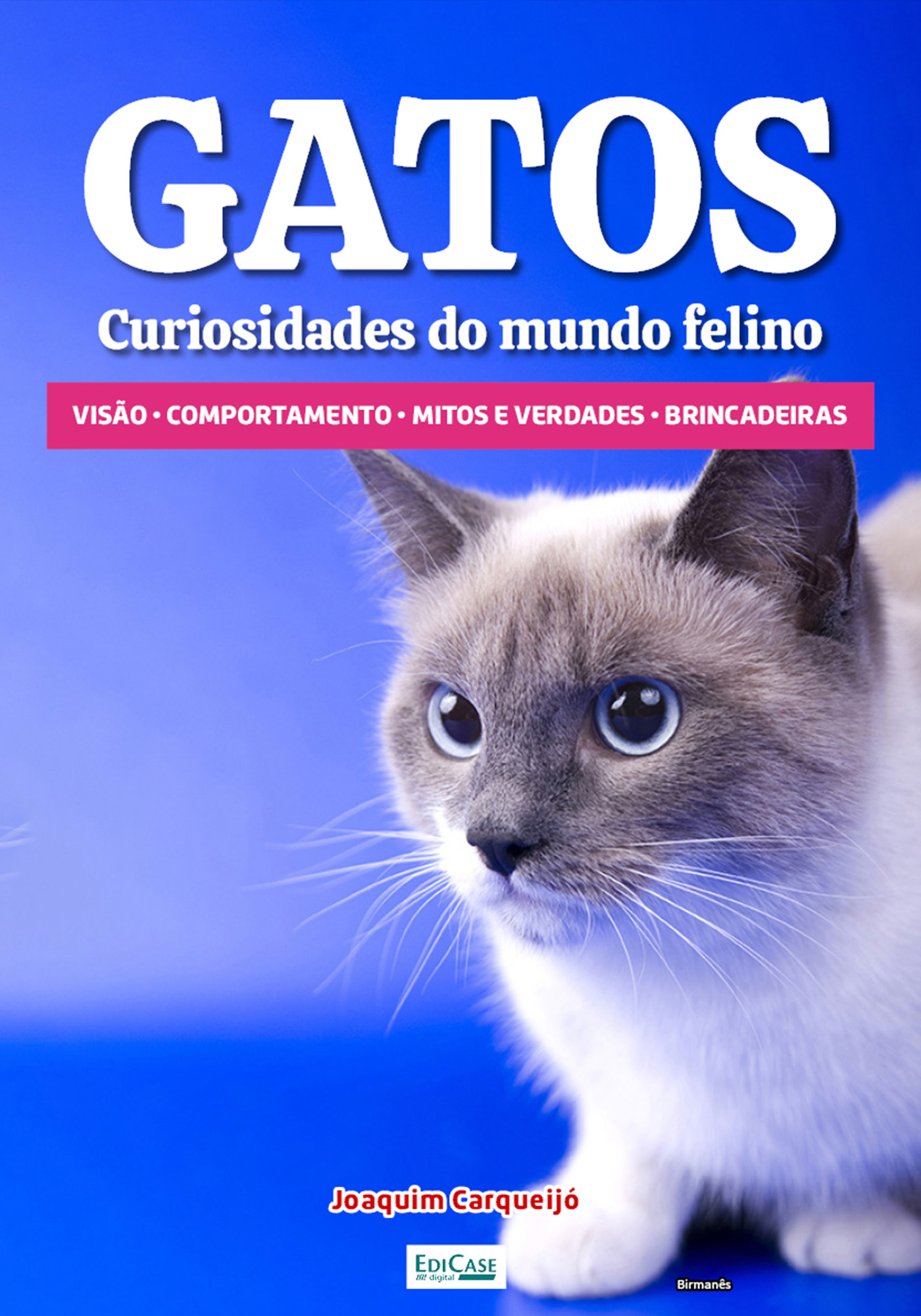 Minibook Gatos Curiosidades do Mundo Felino