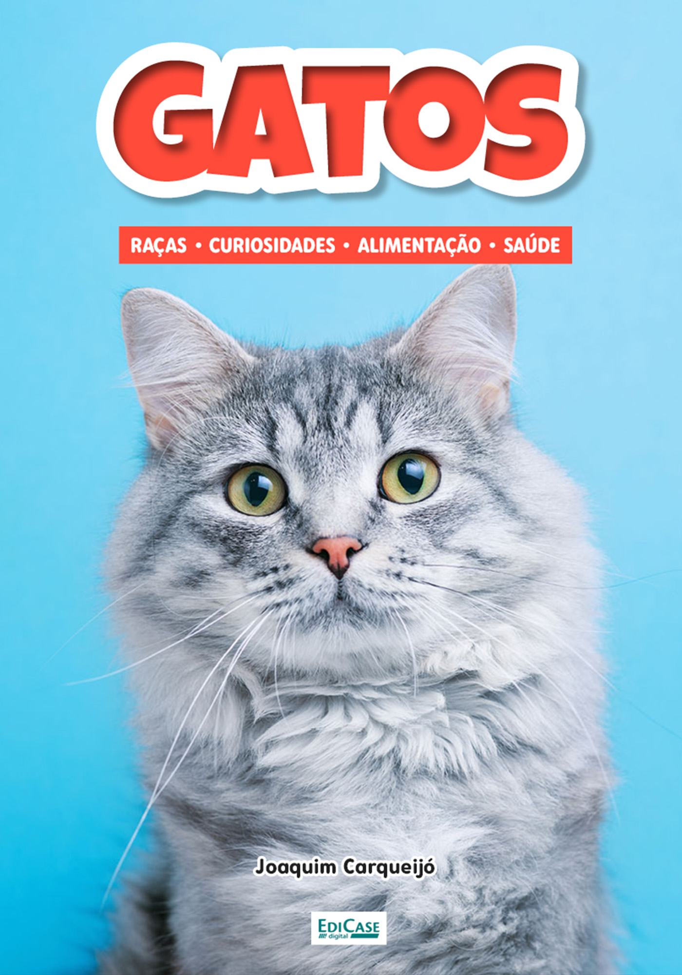 Minibook Gatos