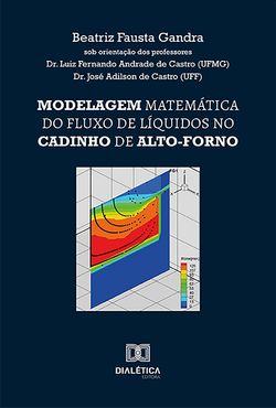 Modelagem matemática do fluxo de líquidos no cadinho de alto-forno