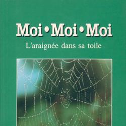 Moi moi moi, l'araignée dans sa toile