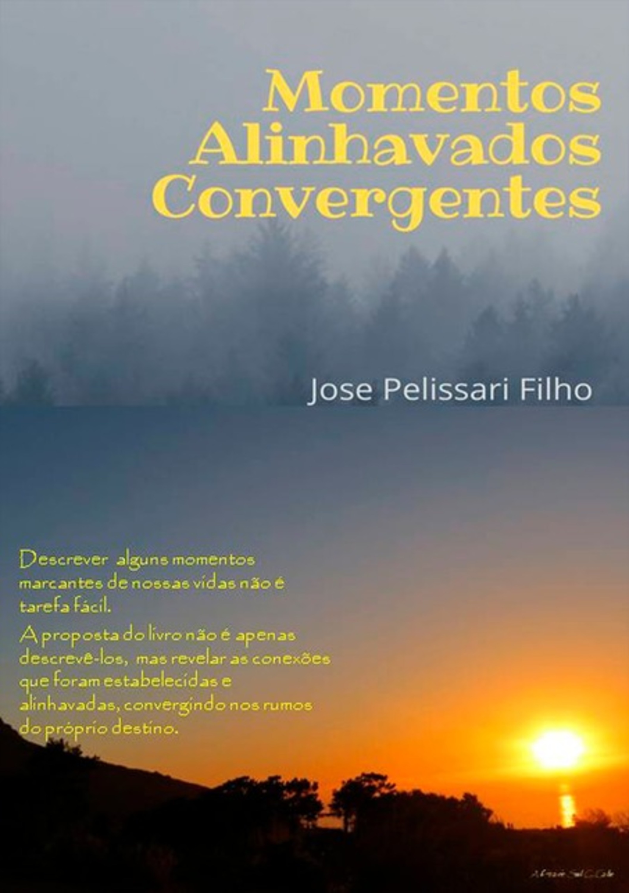 Momentos Alinhavados Convergentes