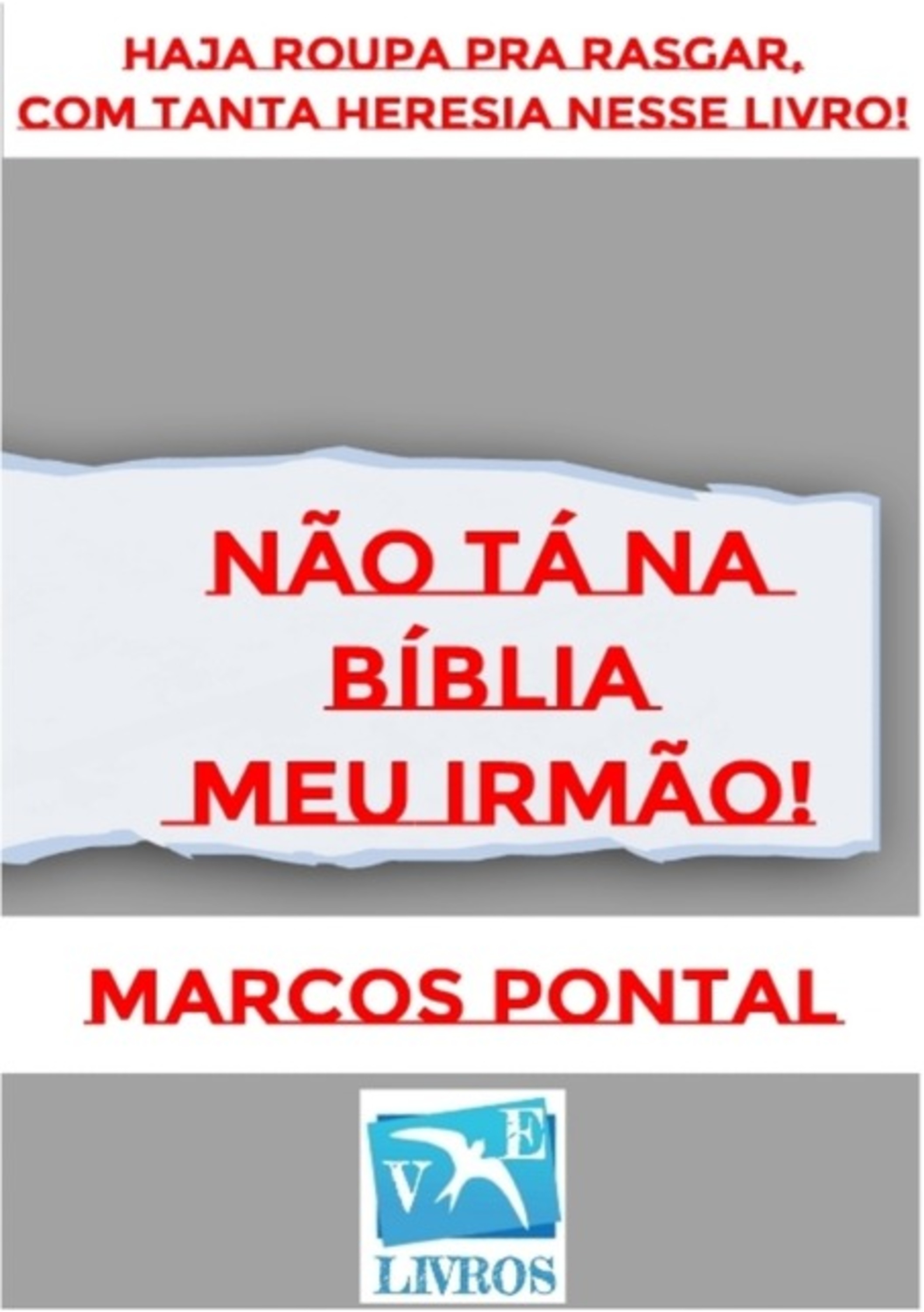 Não Tá Na Bíblia Meu Irmão!