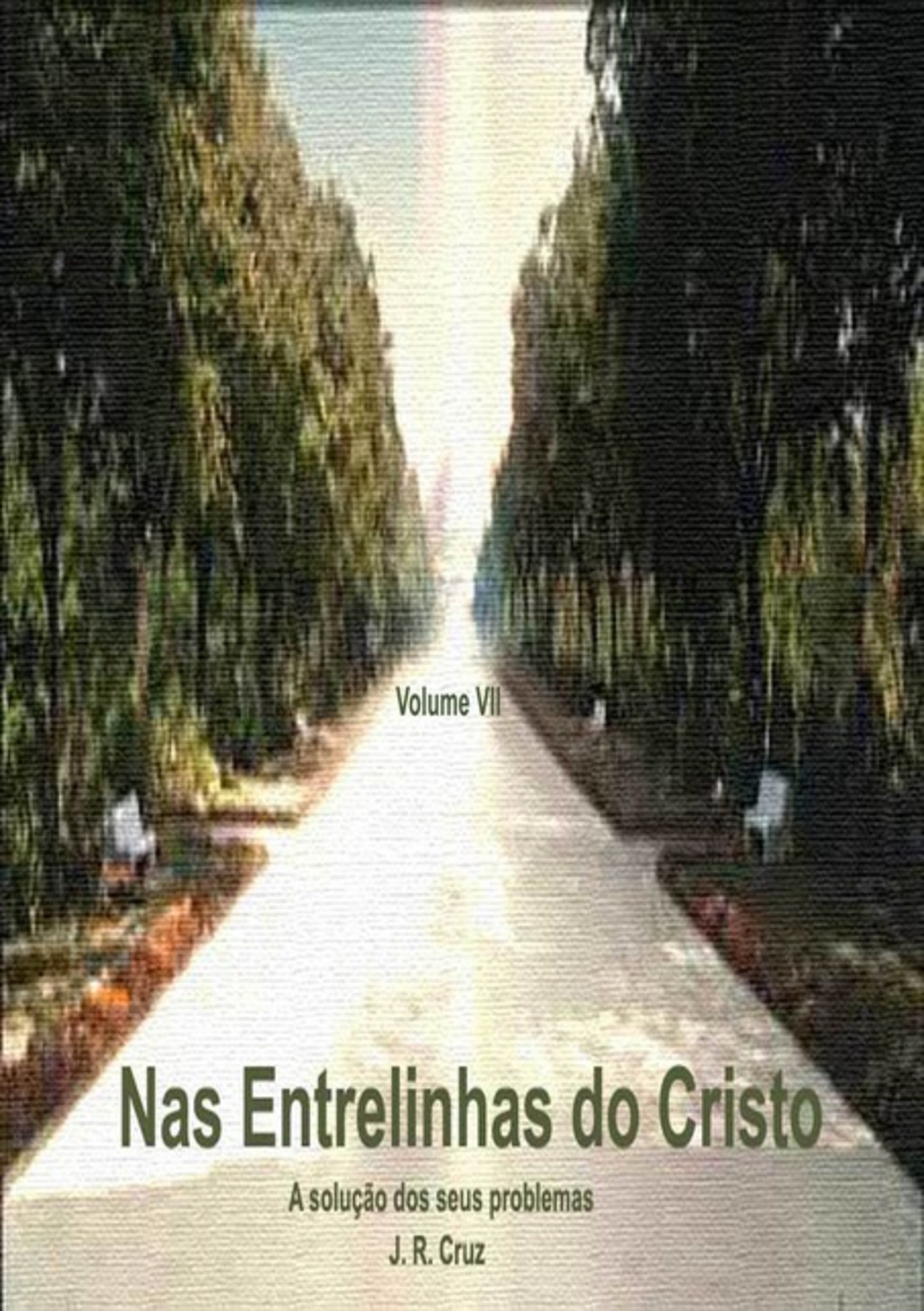 Nas Entrelinhas Do Cristo - Vol. Vii