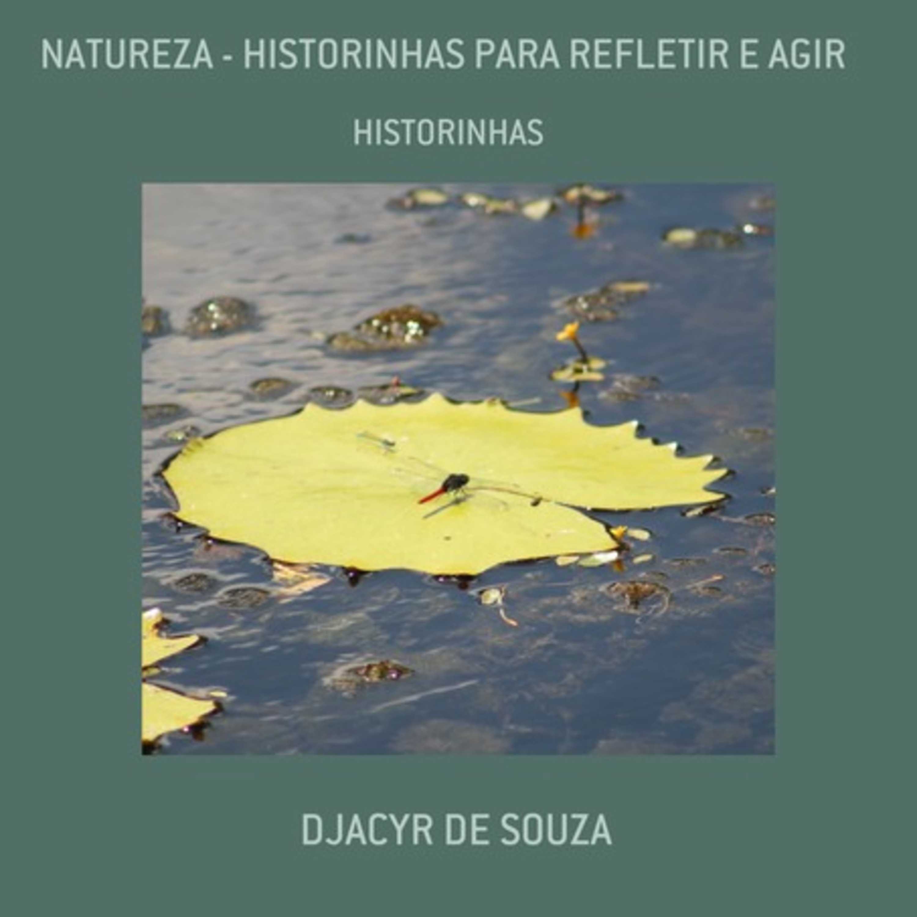 Natureza - Historinhas Para Refletir E Agir