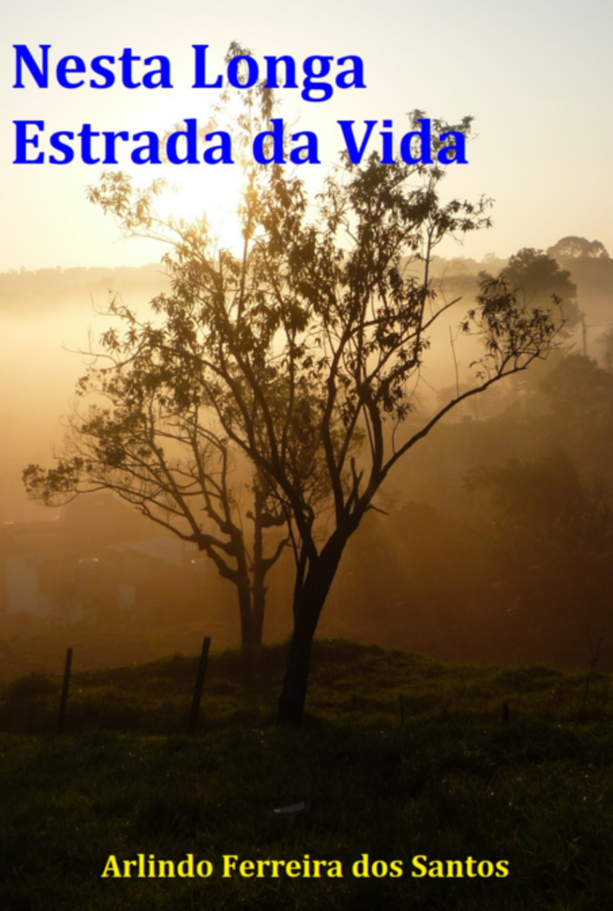 Nesta Longa Estrada Da Vida