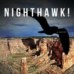Nighthawk!