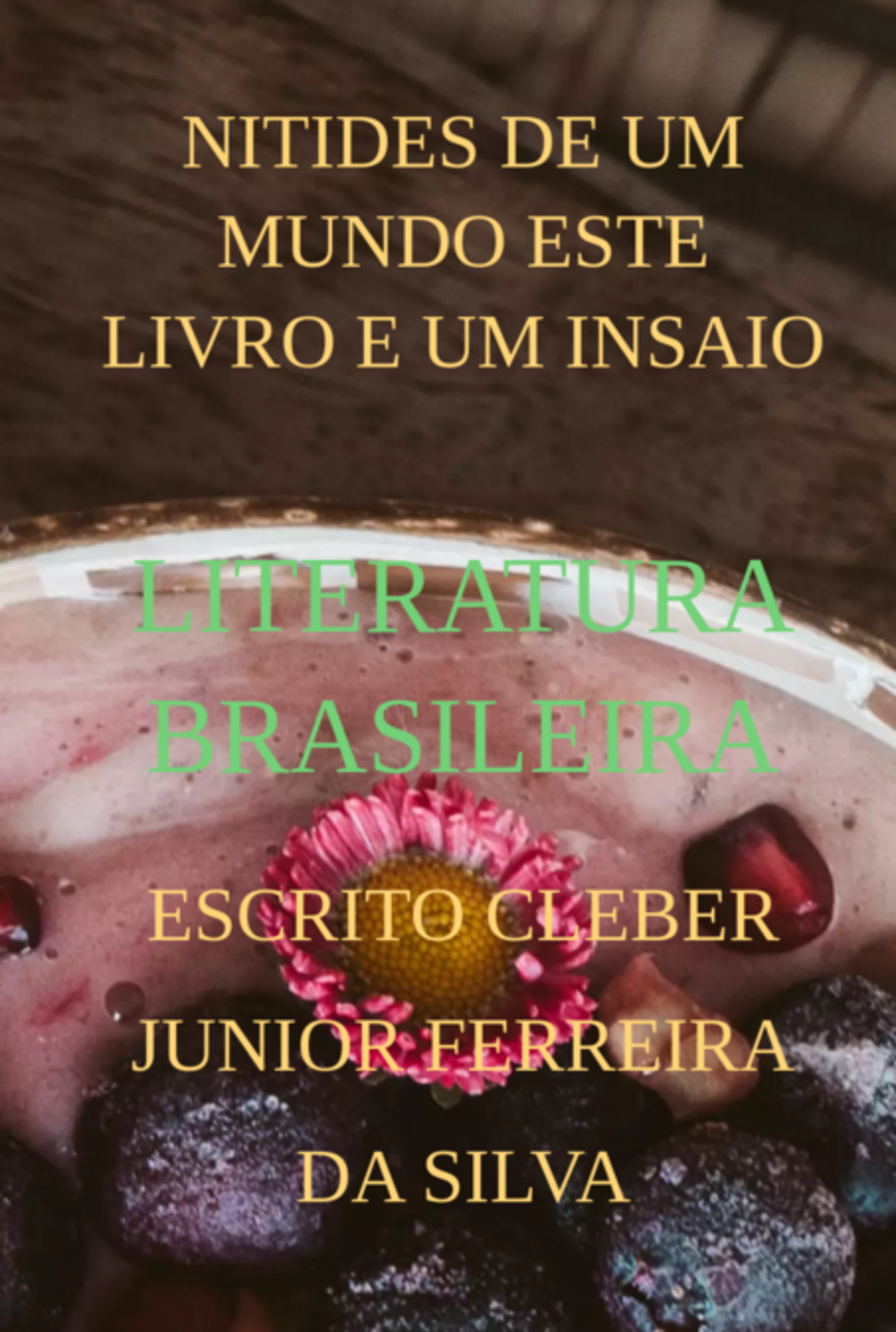 Nitides De Um Mundo Este Livro E Um Insaio