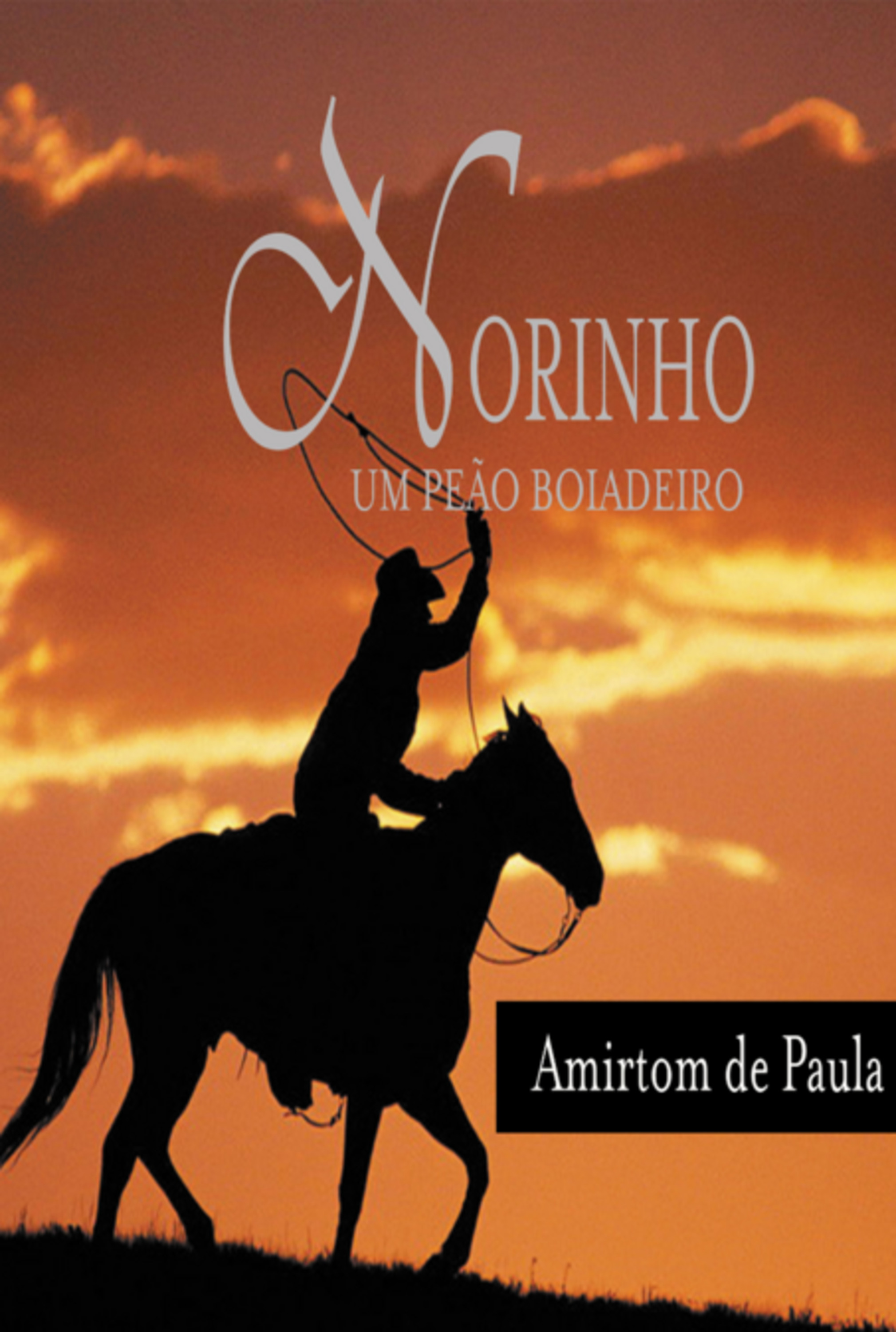 Norinho