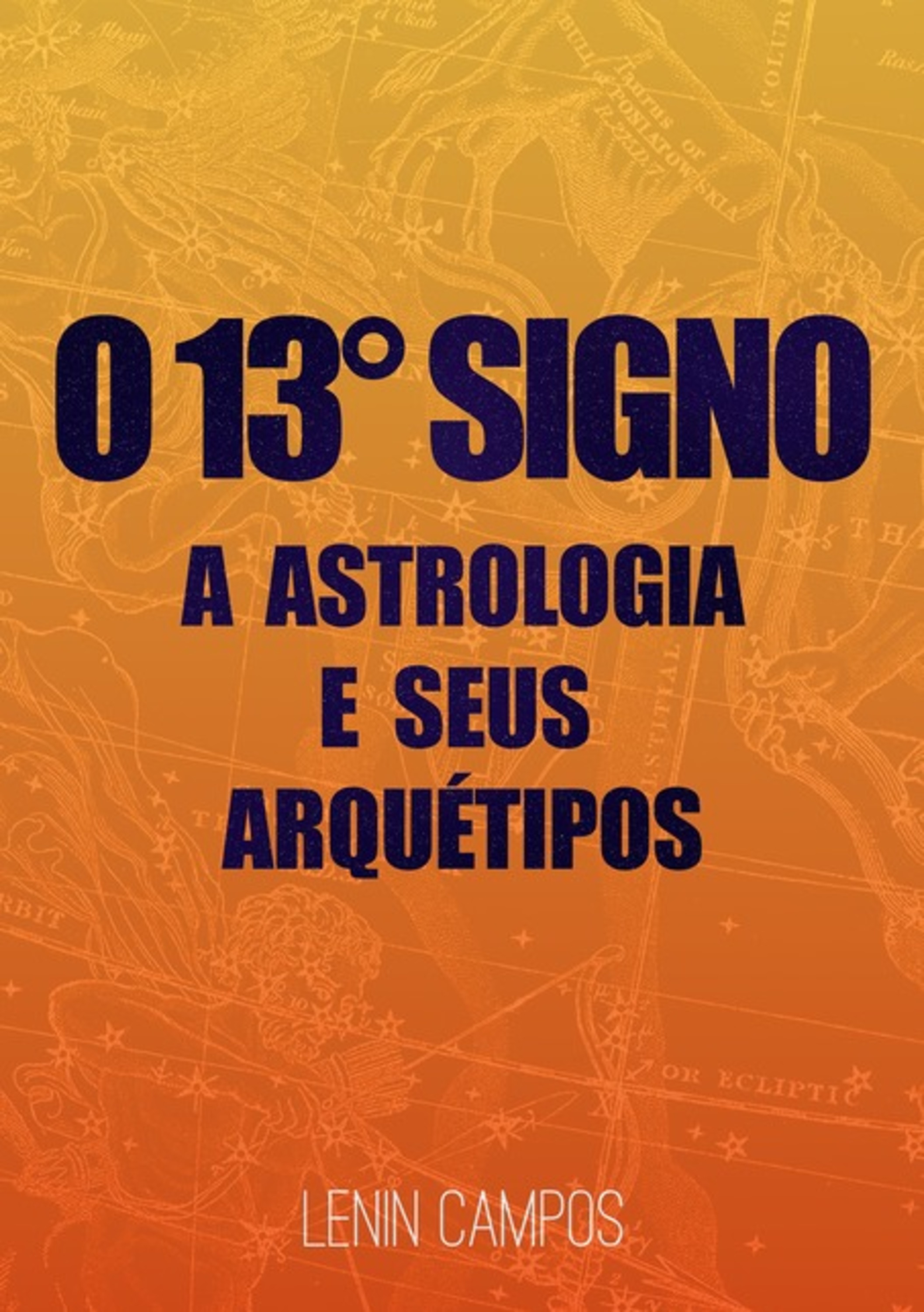 O 13º Signo