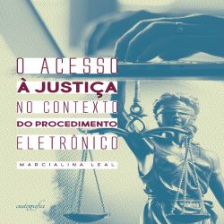 O acesso à justiça no contexto do procedimento eletrônico