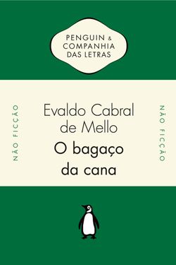 O bagaço da cana