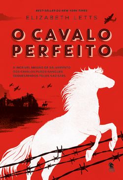 O cavalo perfeito