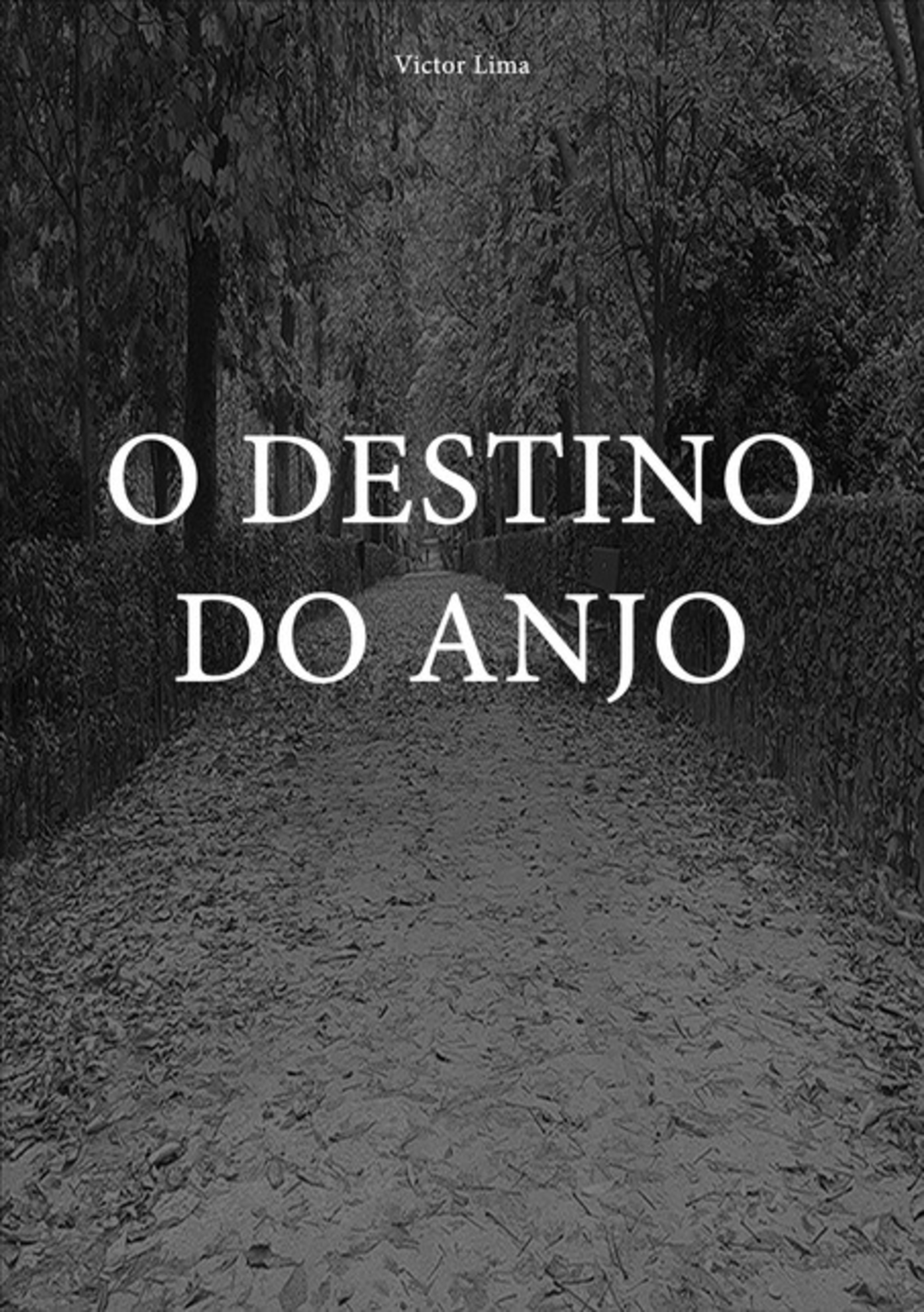 O Destino Do Anjo