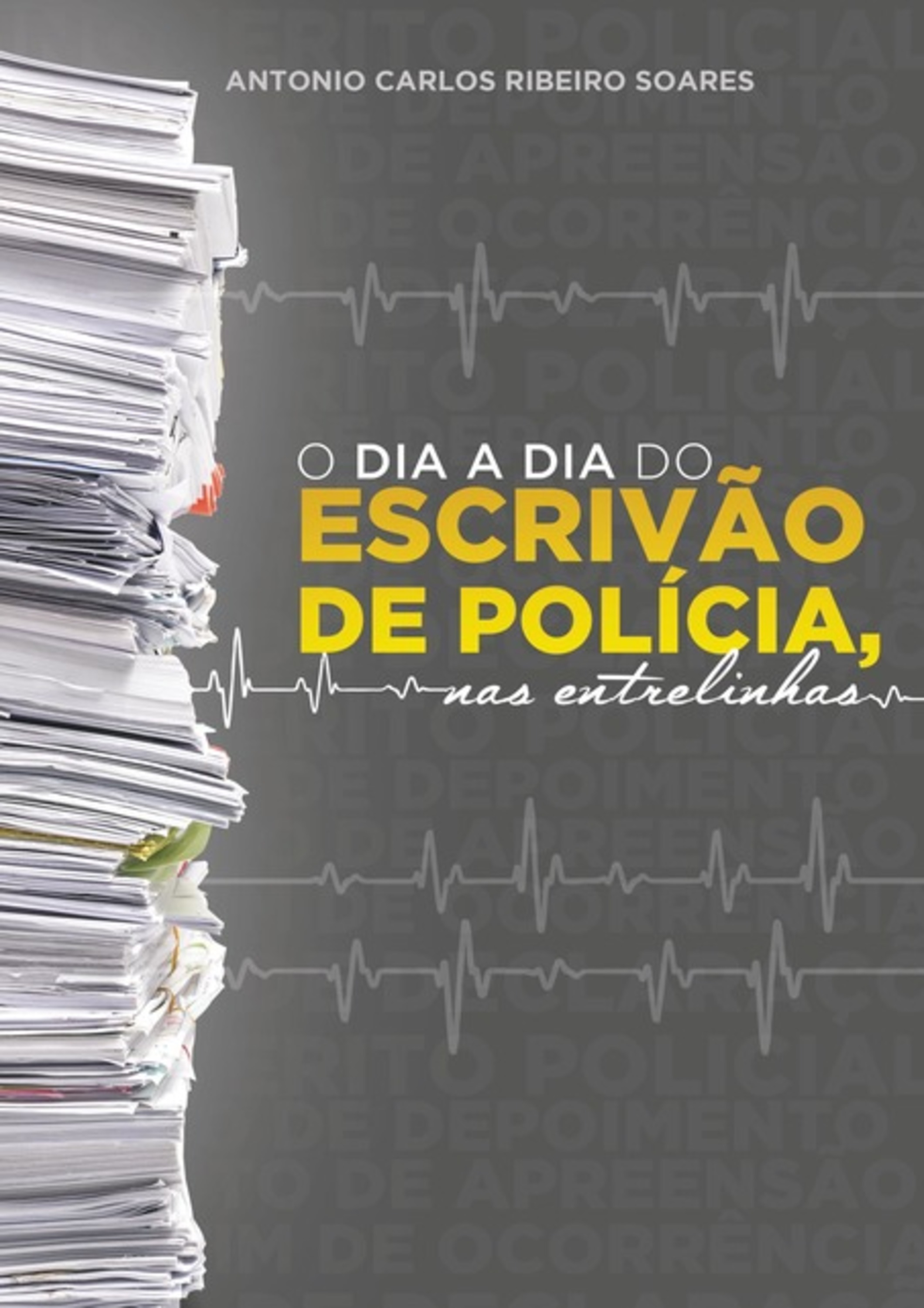 O Dia A Dia Do Escrivão De Polícia, Nas Entrelinhas