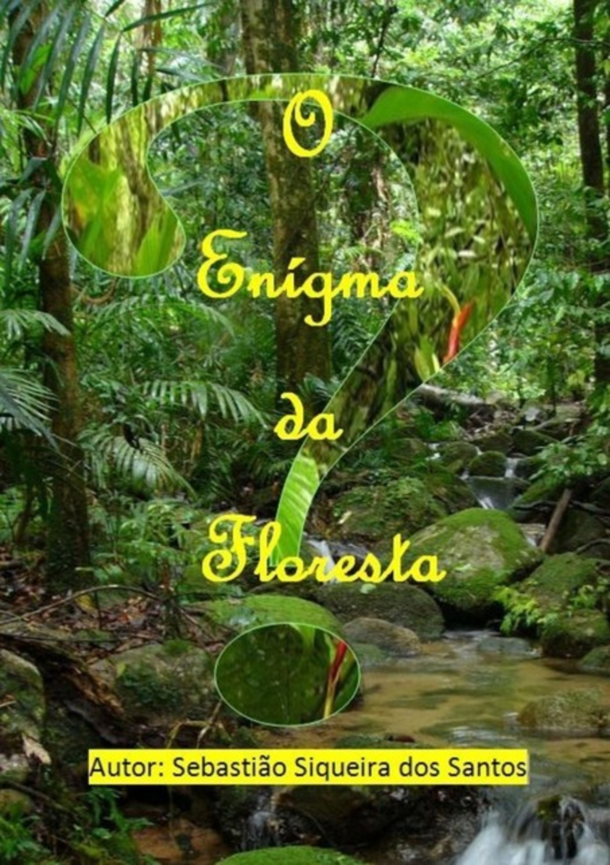 O Enigma Da Floresta