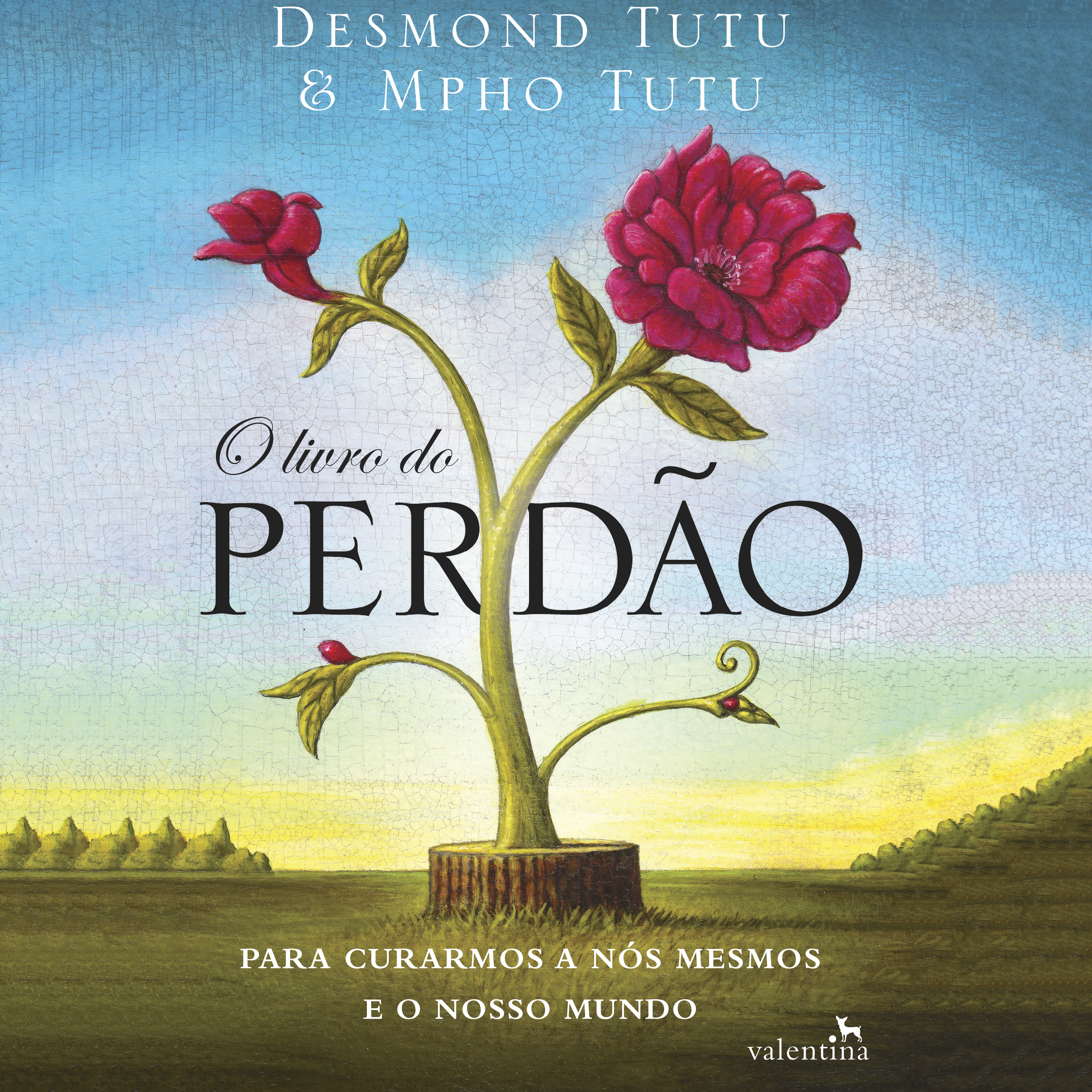 O livro do perdão