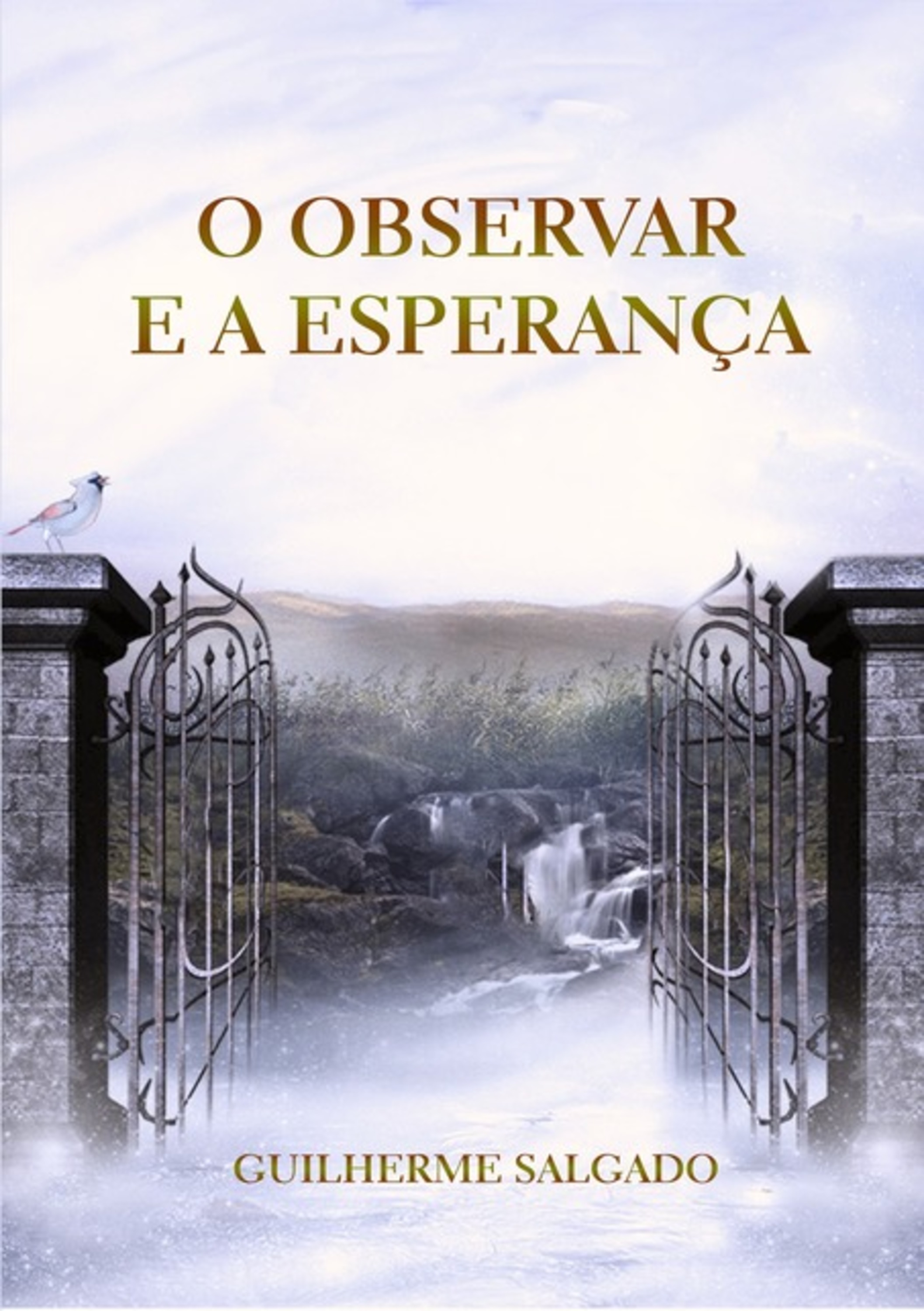 O Observar E A Esperança