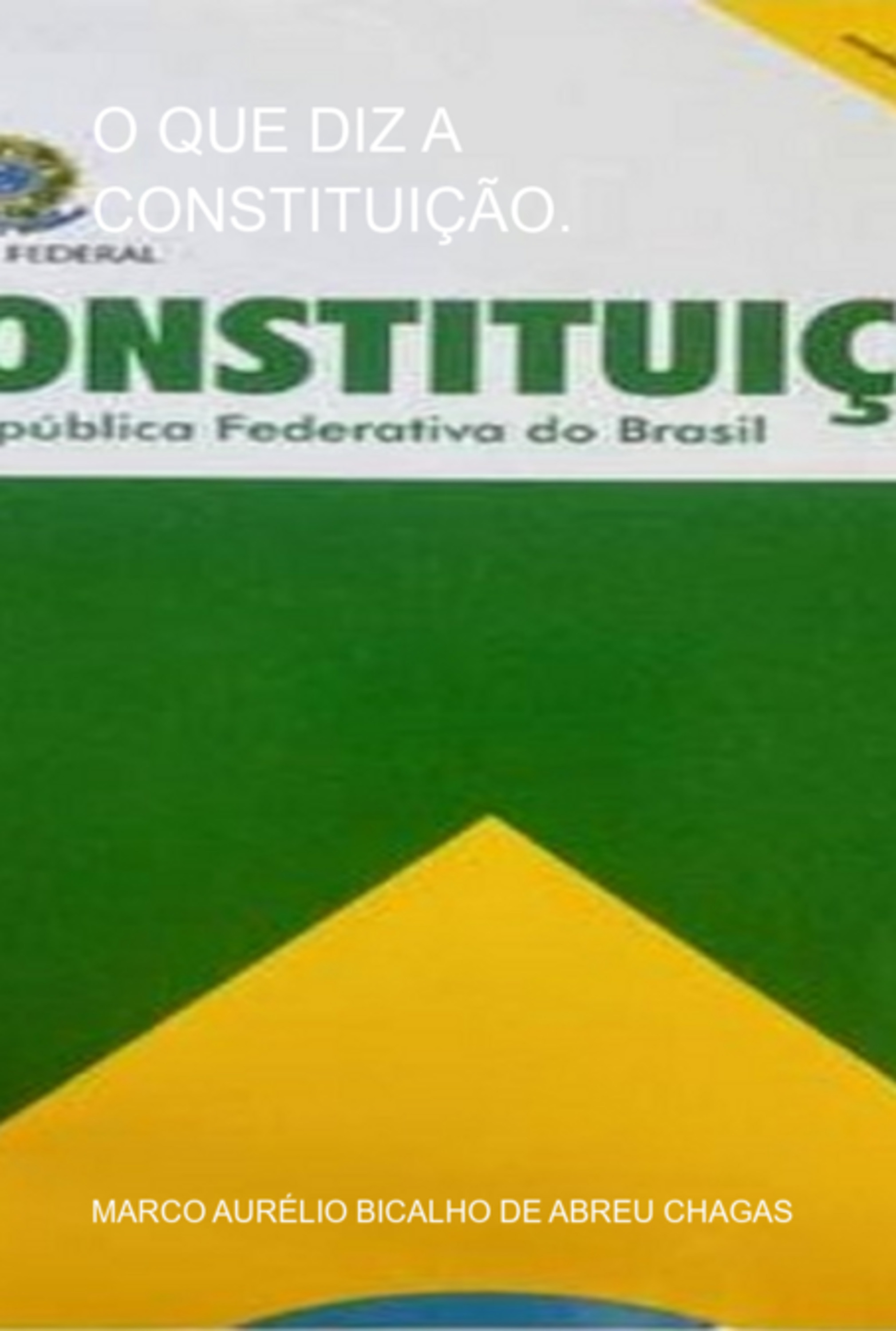 O Que Diz A Constituição.