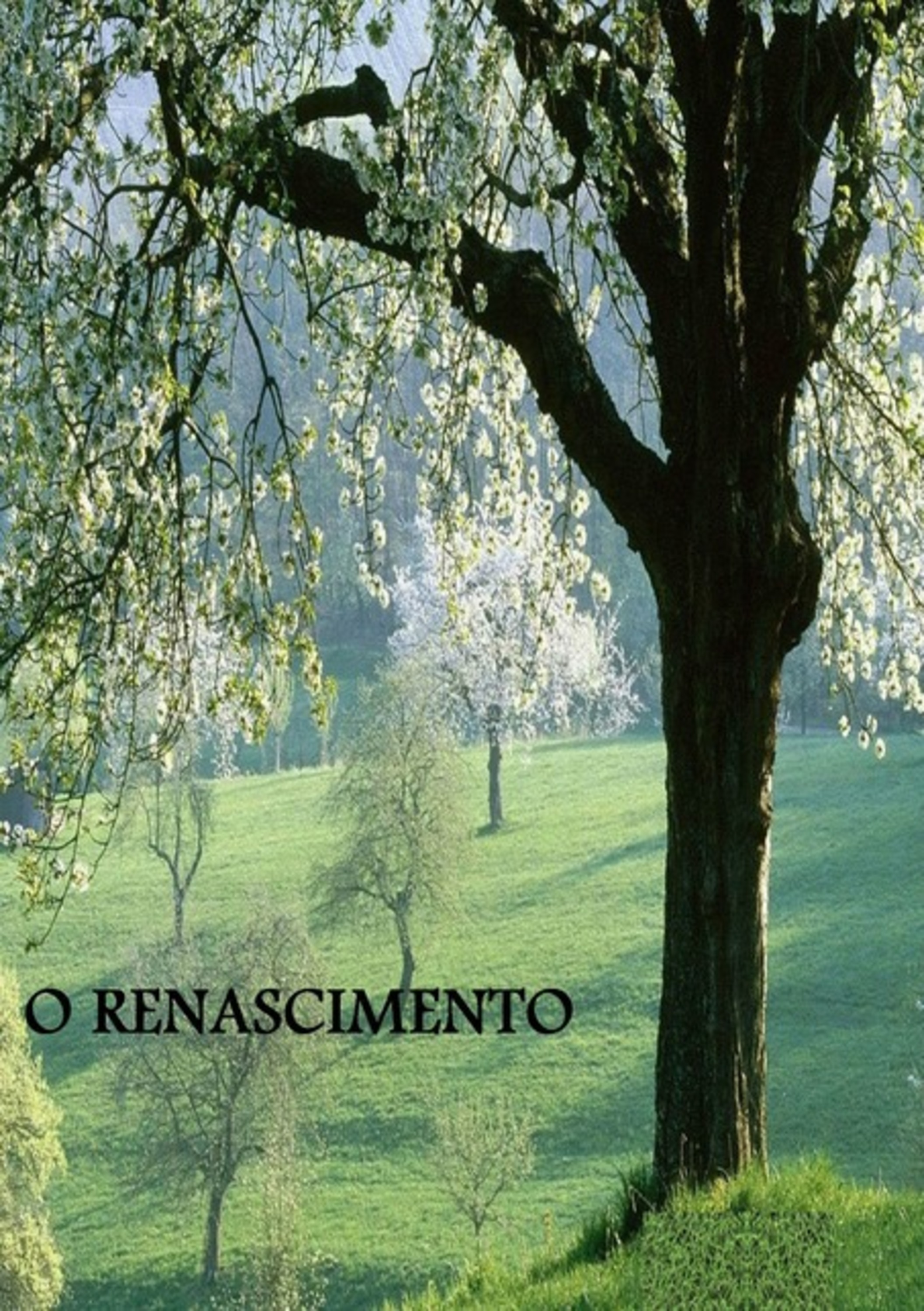 O Renascimento