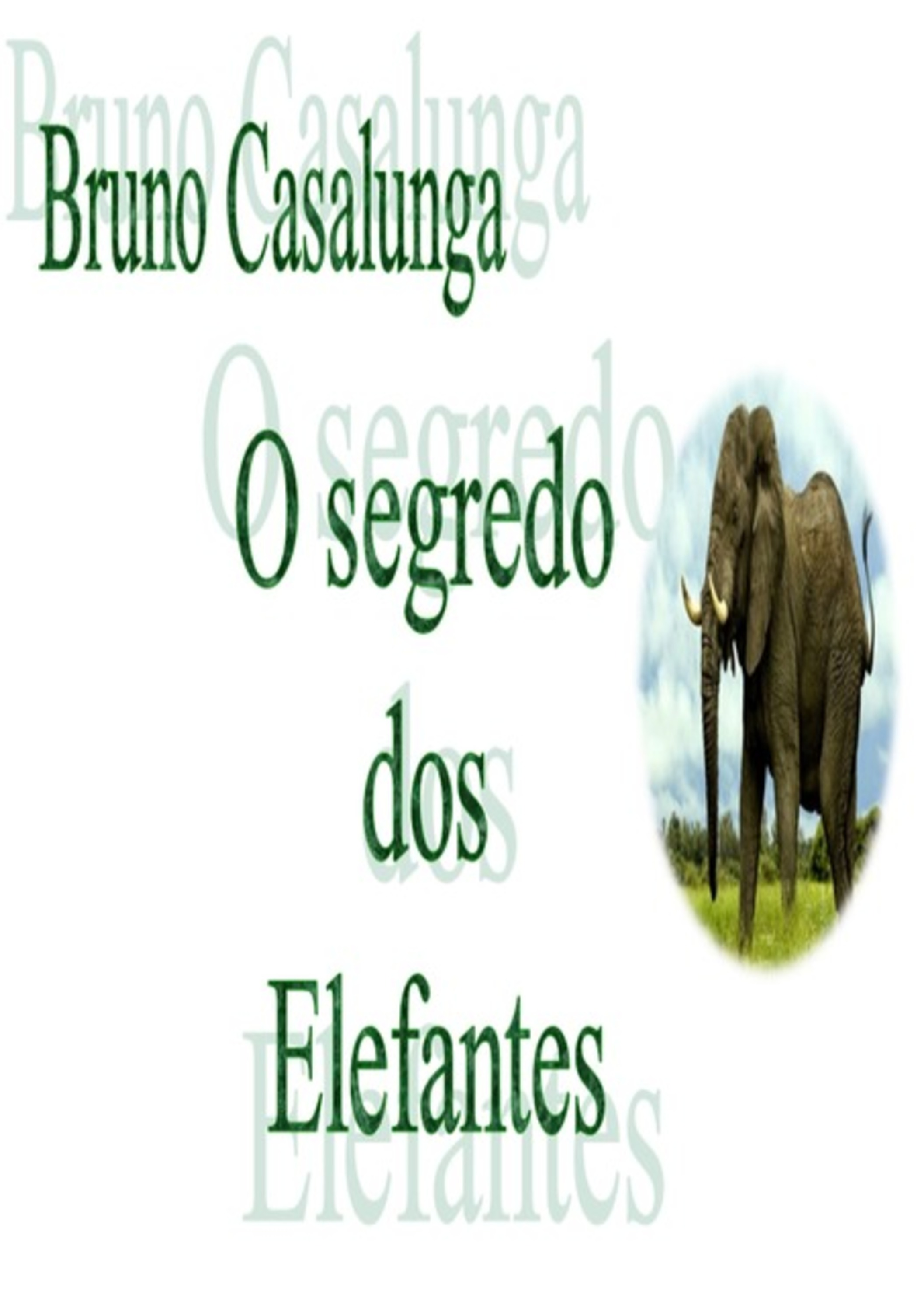 O Segredo Dos Elefantes