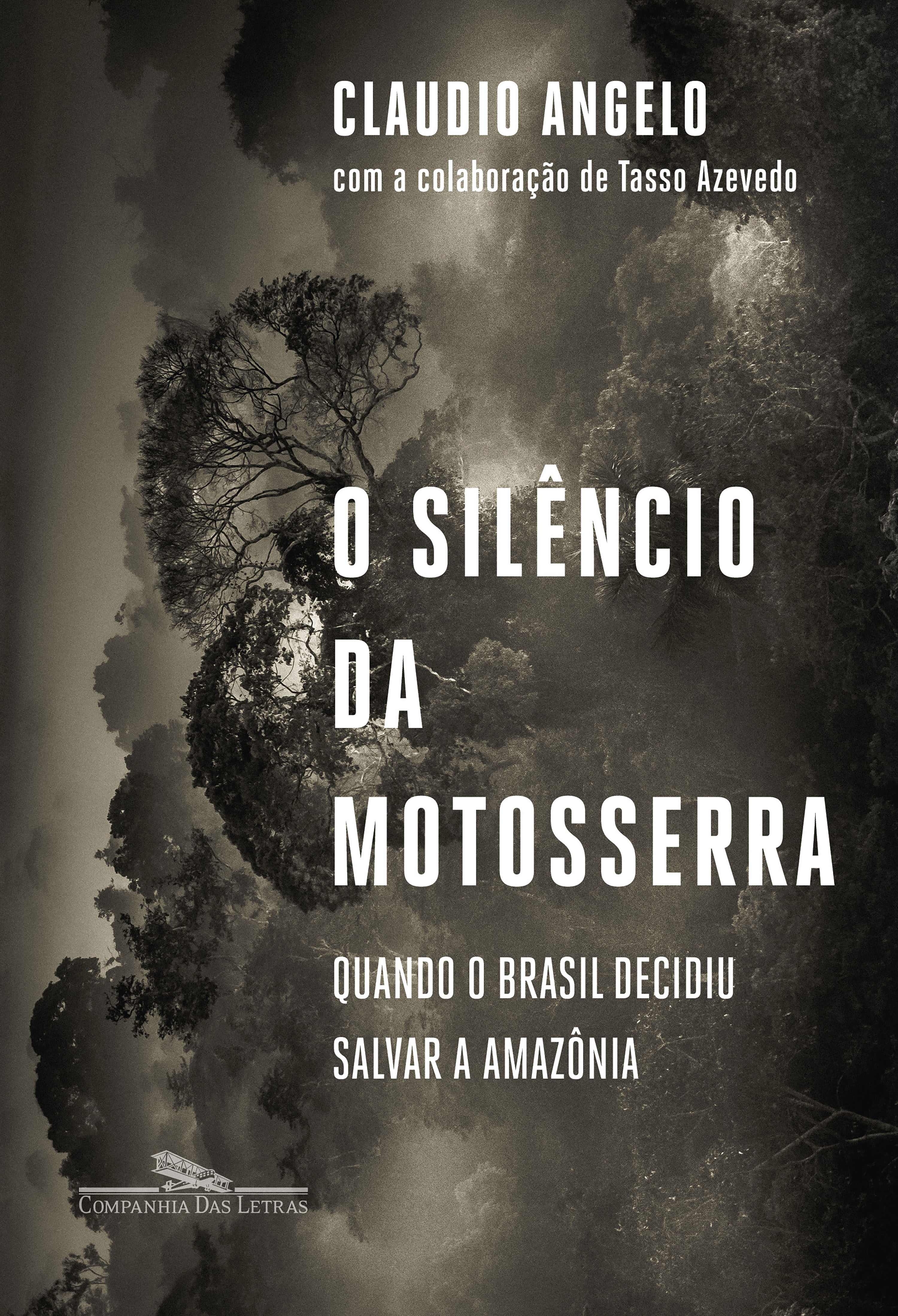 O silêncio da motosserra