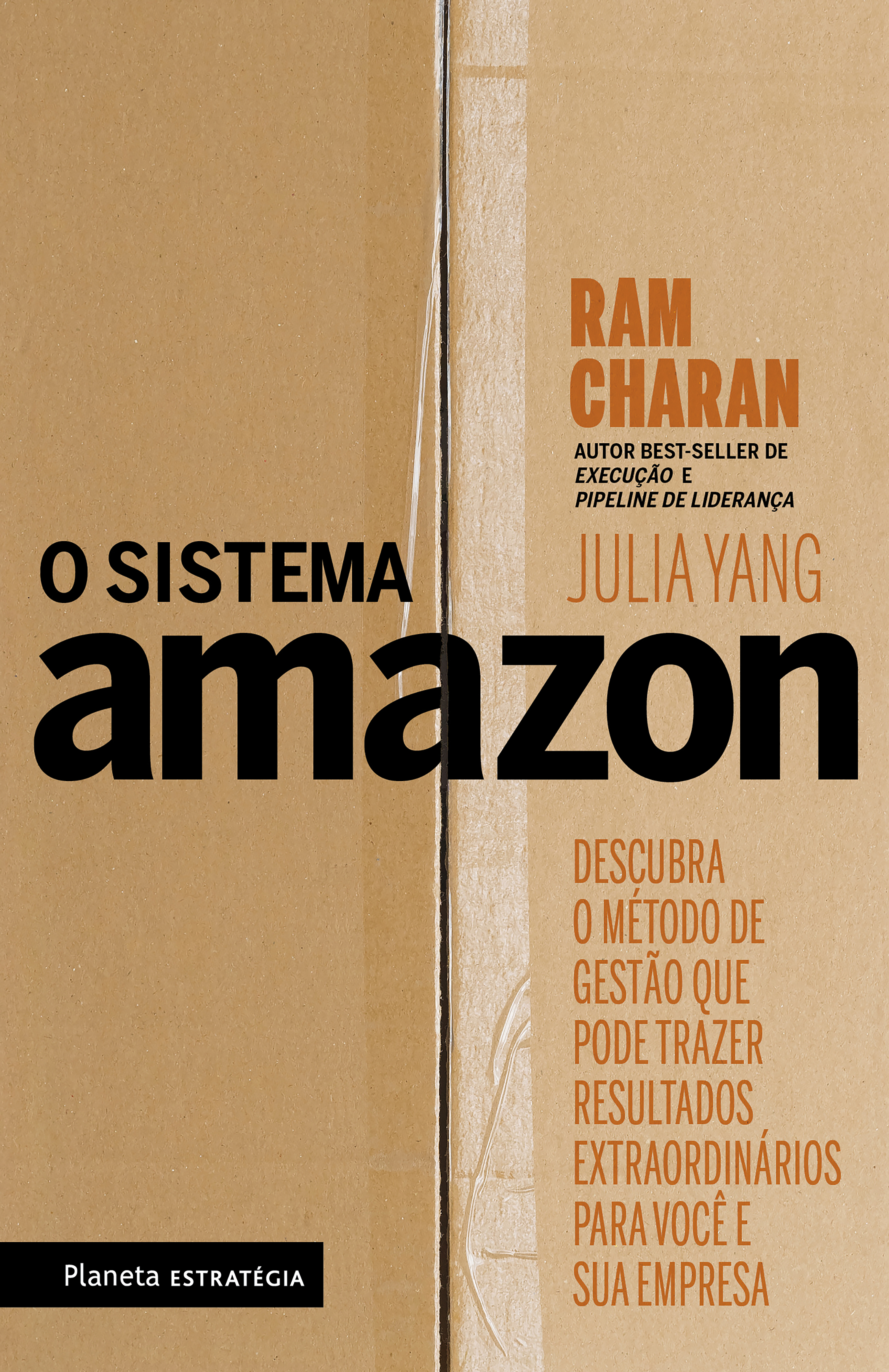 O sistema Amazon