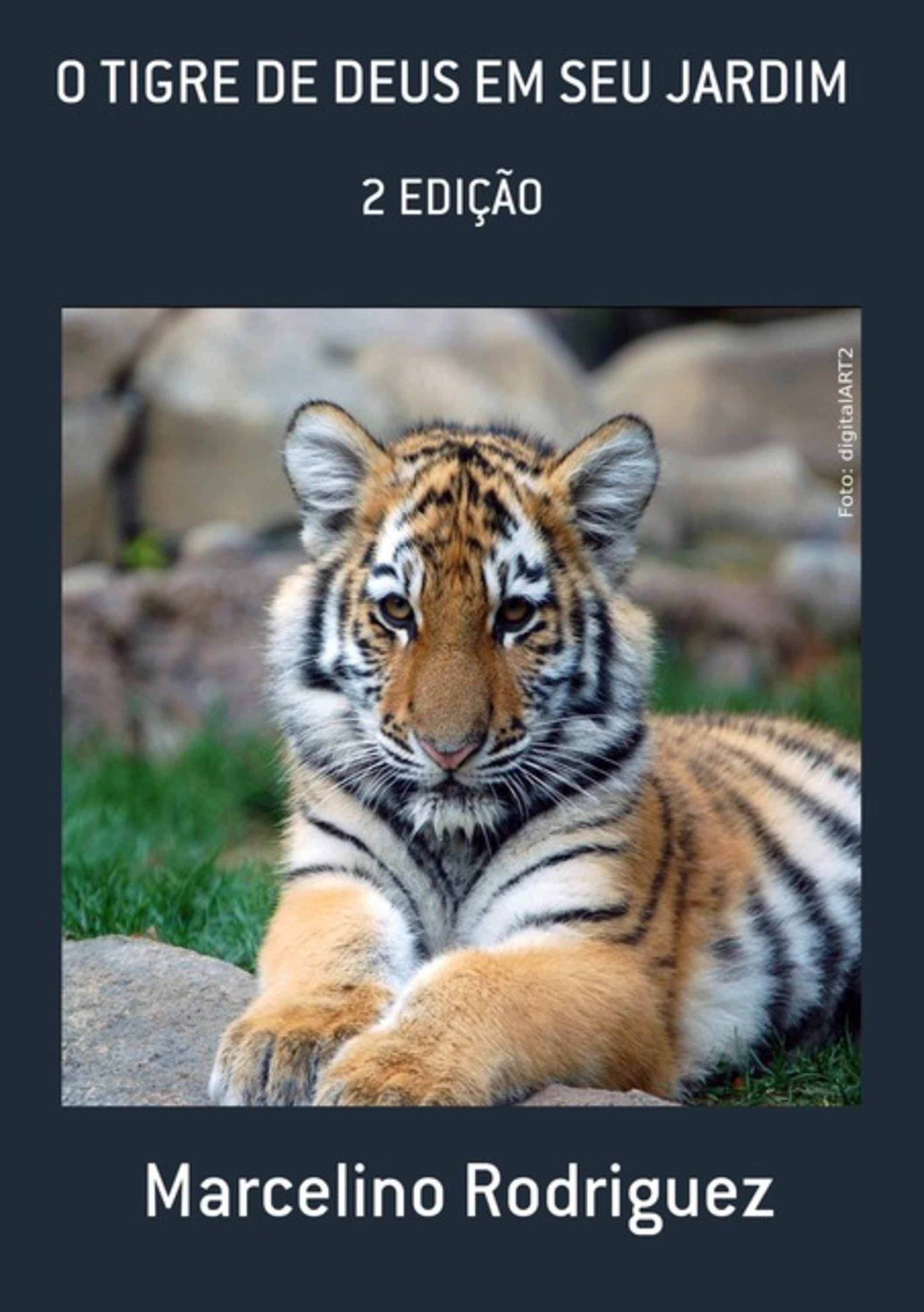 O Tigre De Deus Em Seu Jardim