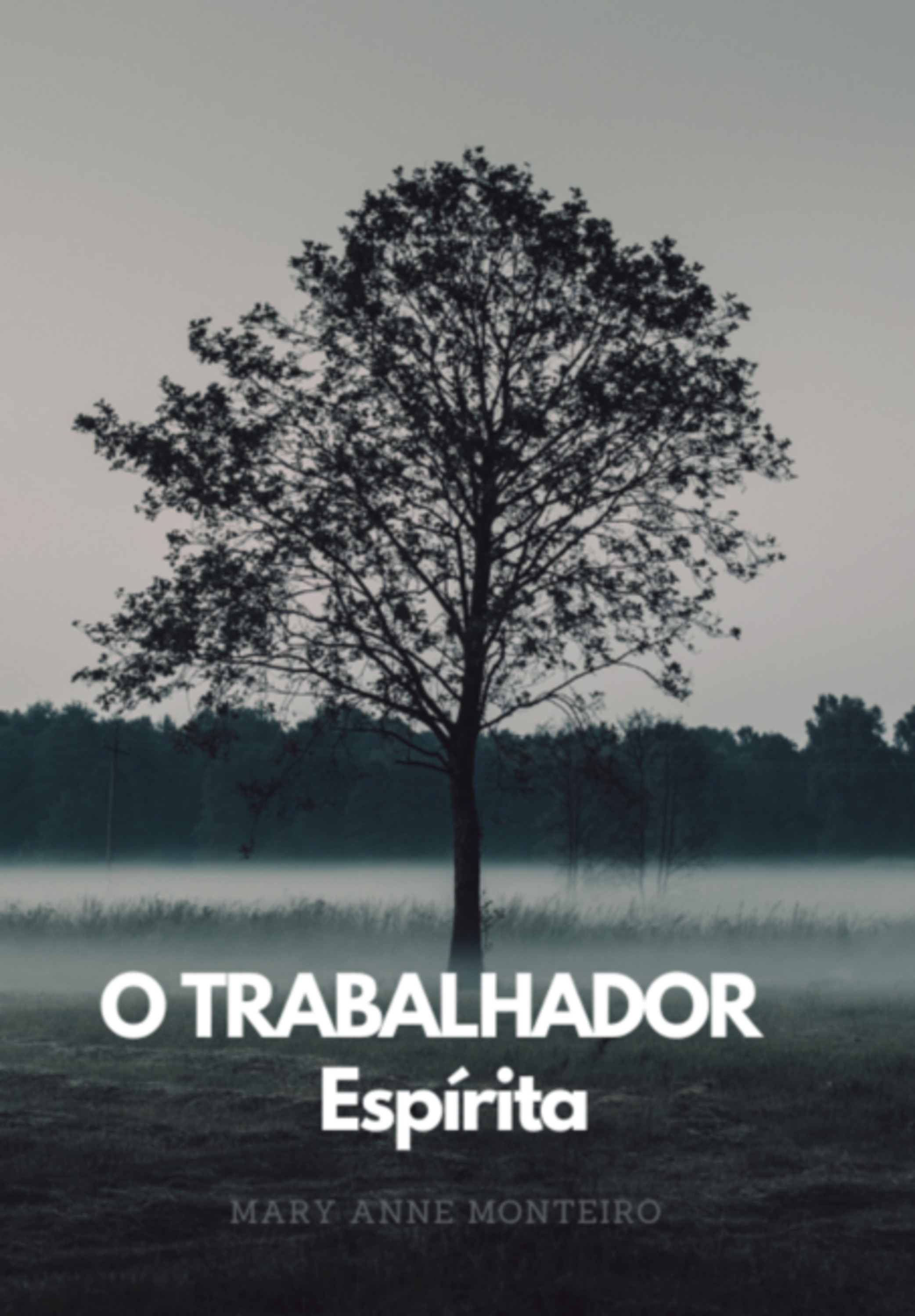 O Trabalhador Espírita