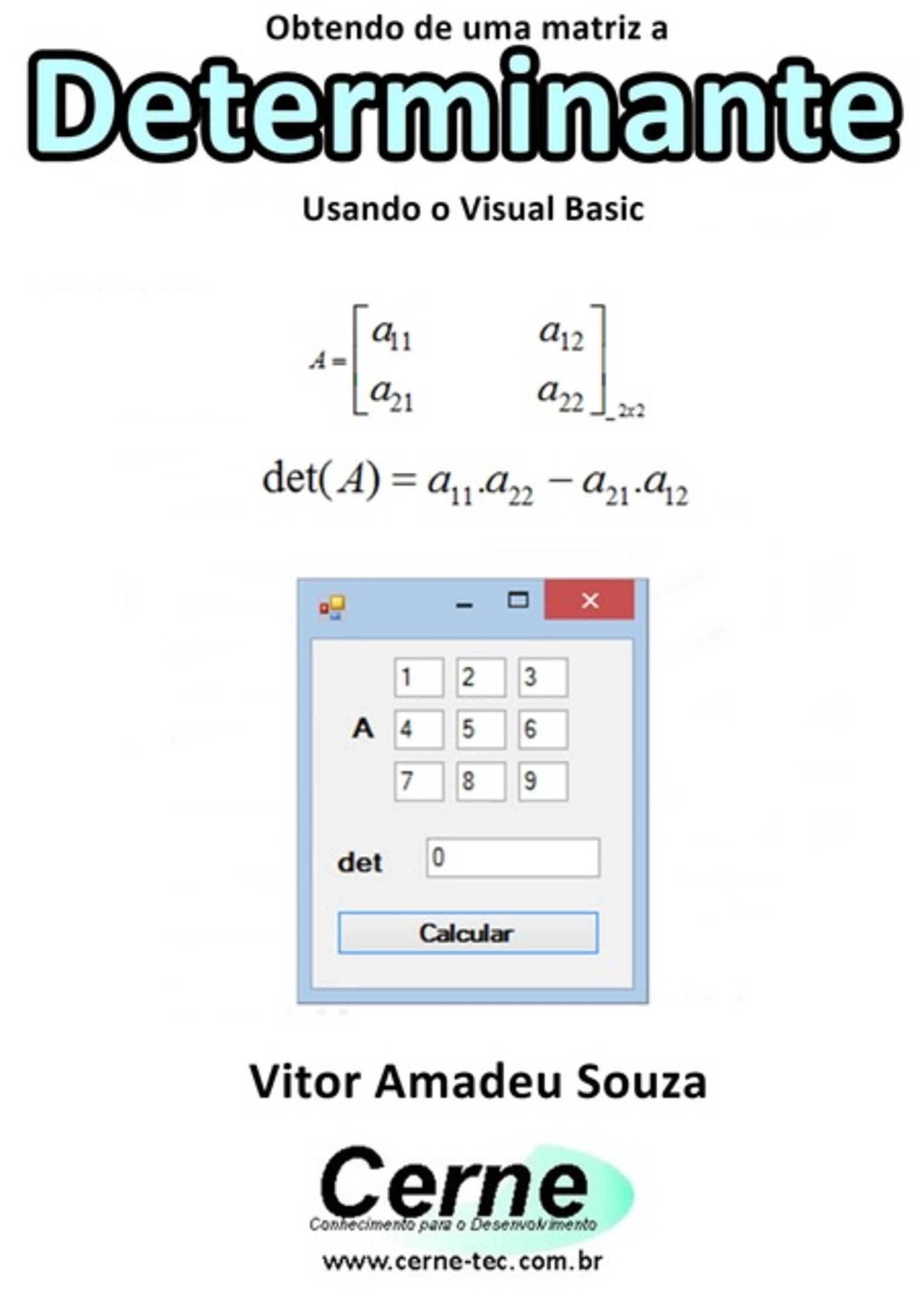 Obtendo De Uma Matriz A Determinante Usando O Visual Basic