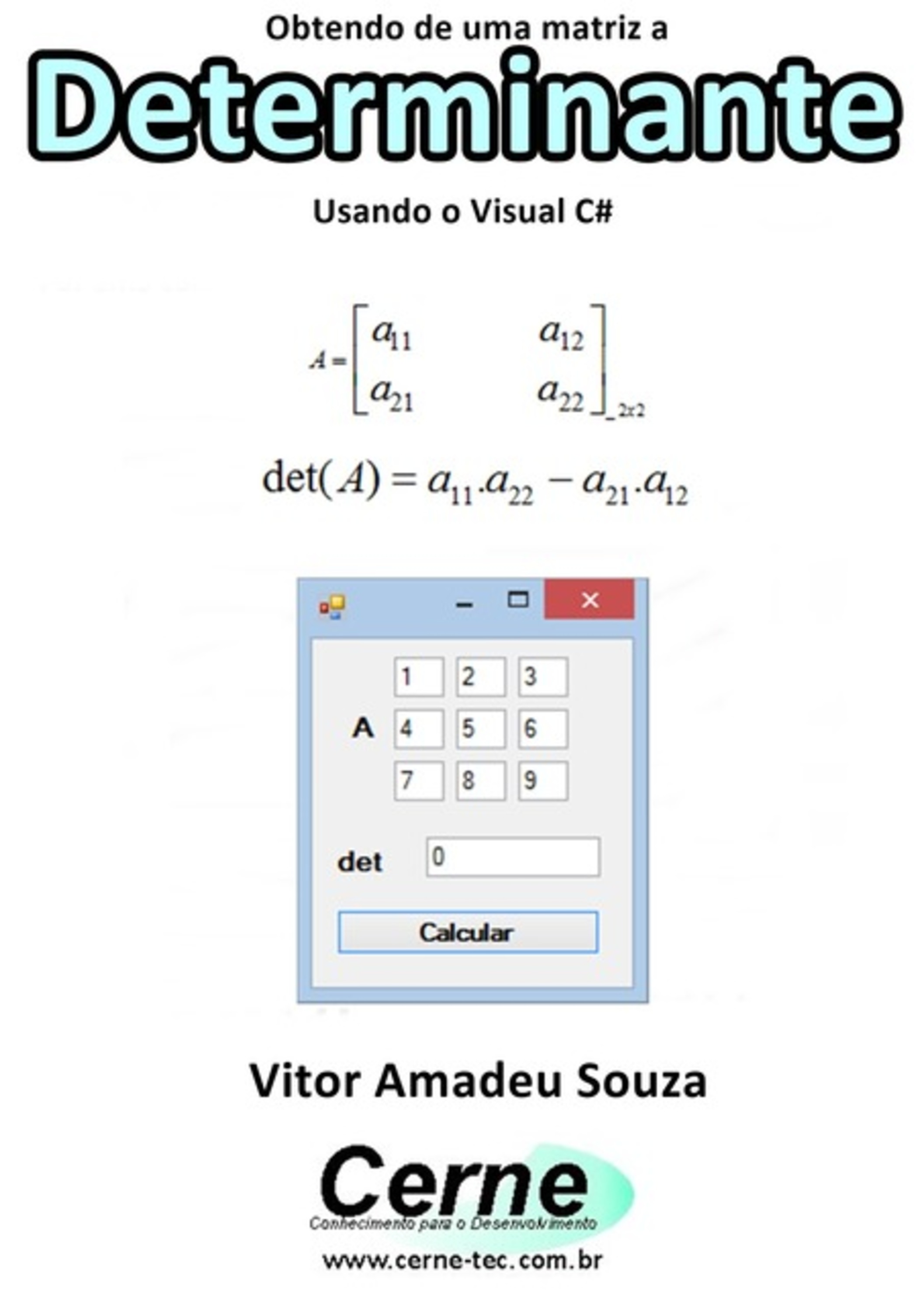 Obtendo De Uma Matriz A Determinante Usando O Visual C#