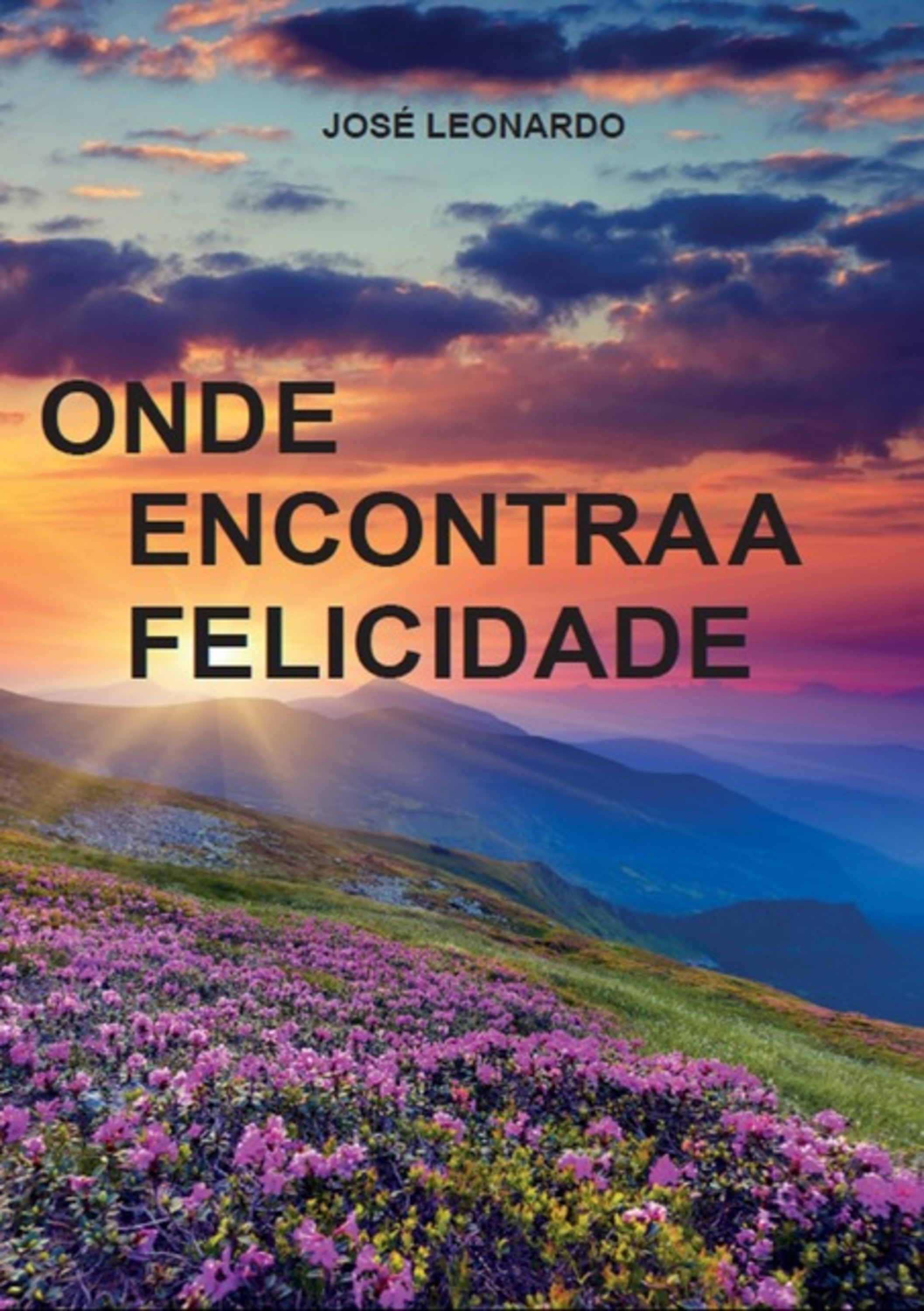 Onde Encontra A Felicidade