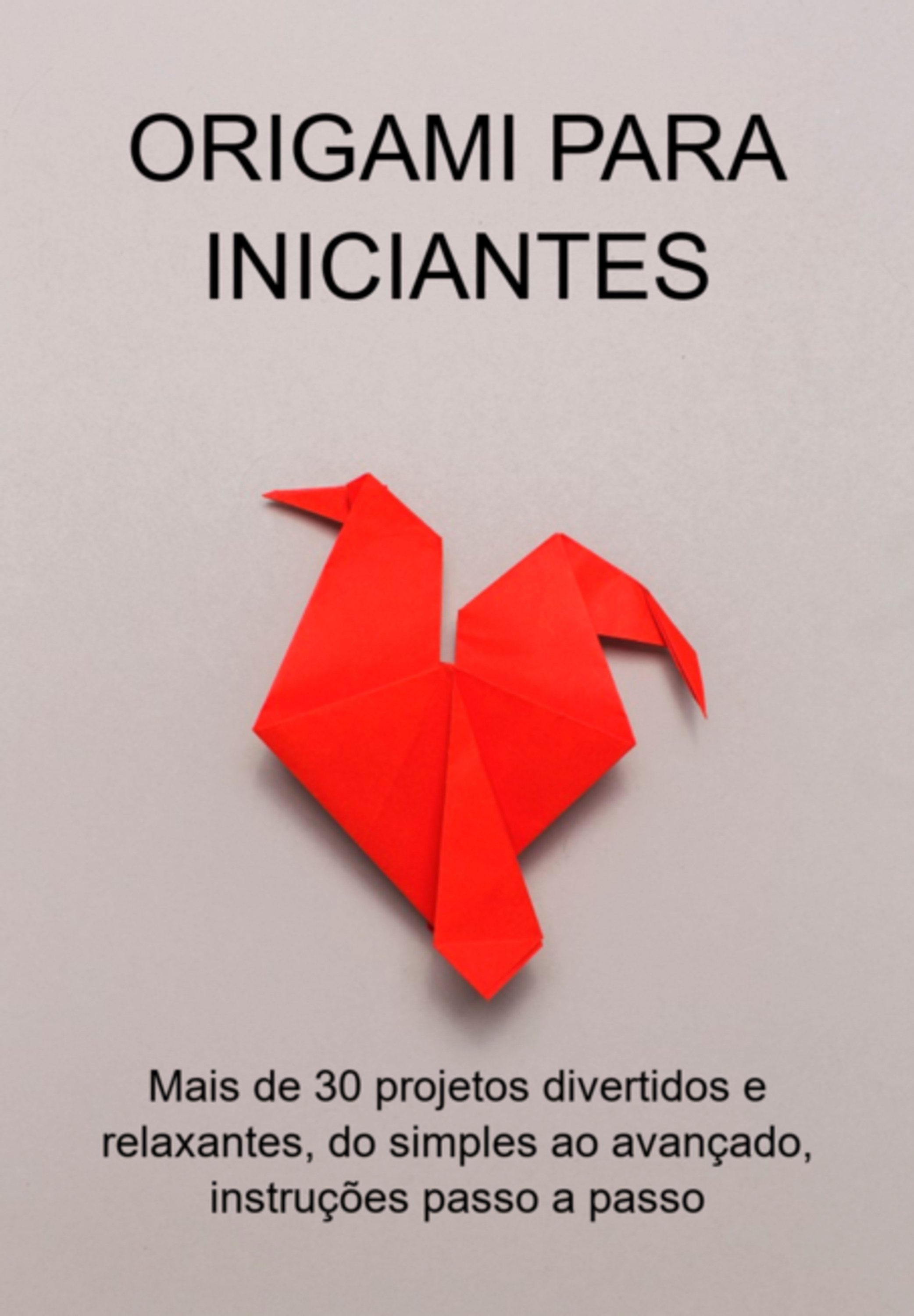 Origami Para Iniciantes