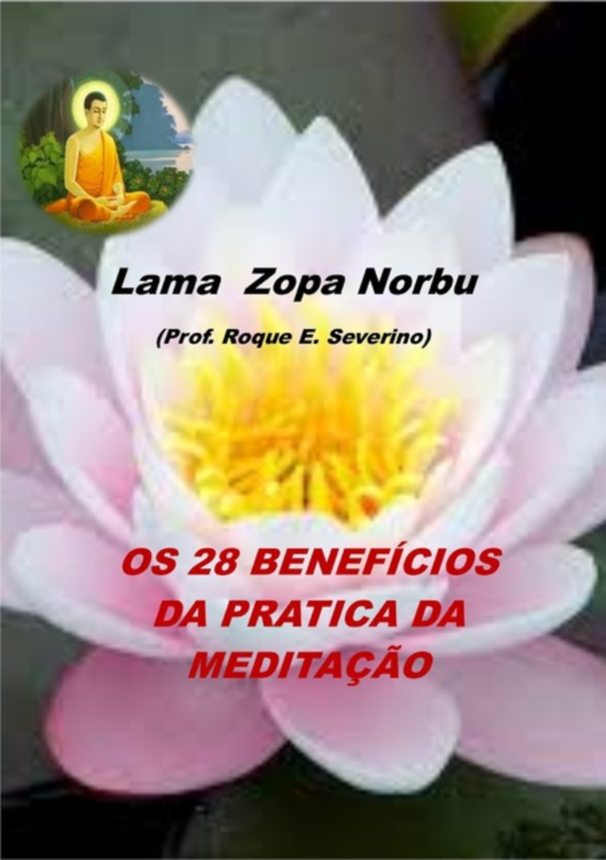 Os 28 Beneficios Em Treinar Meditacao