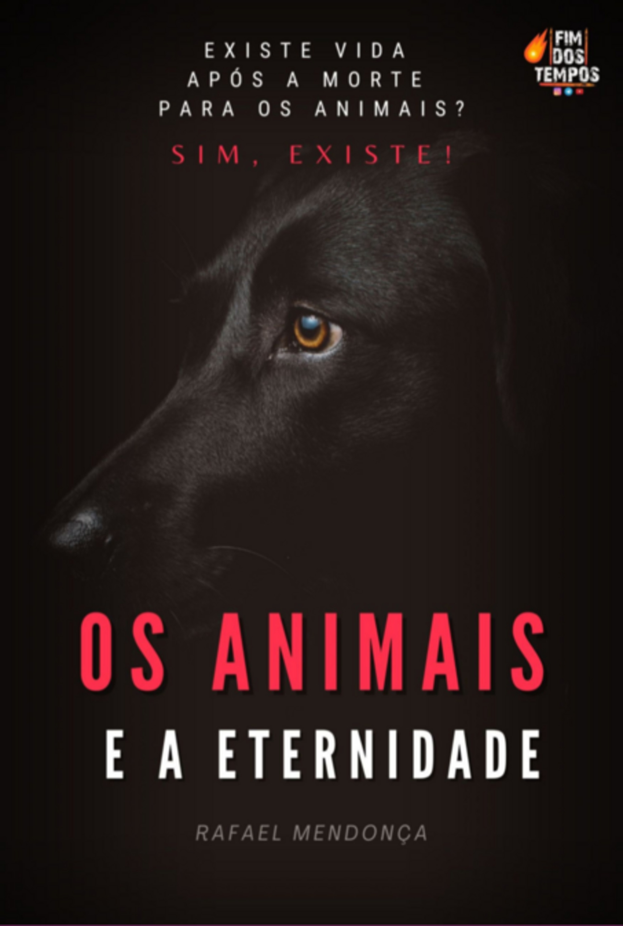 Os Animais E A Eternidade