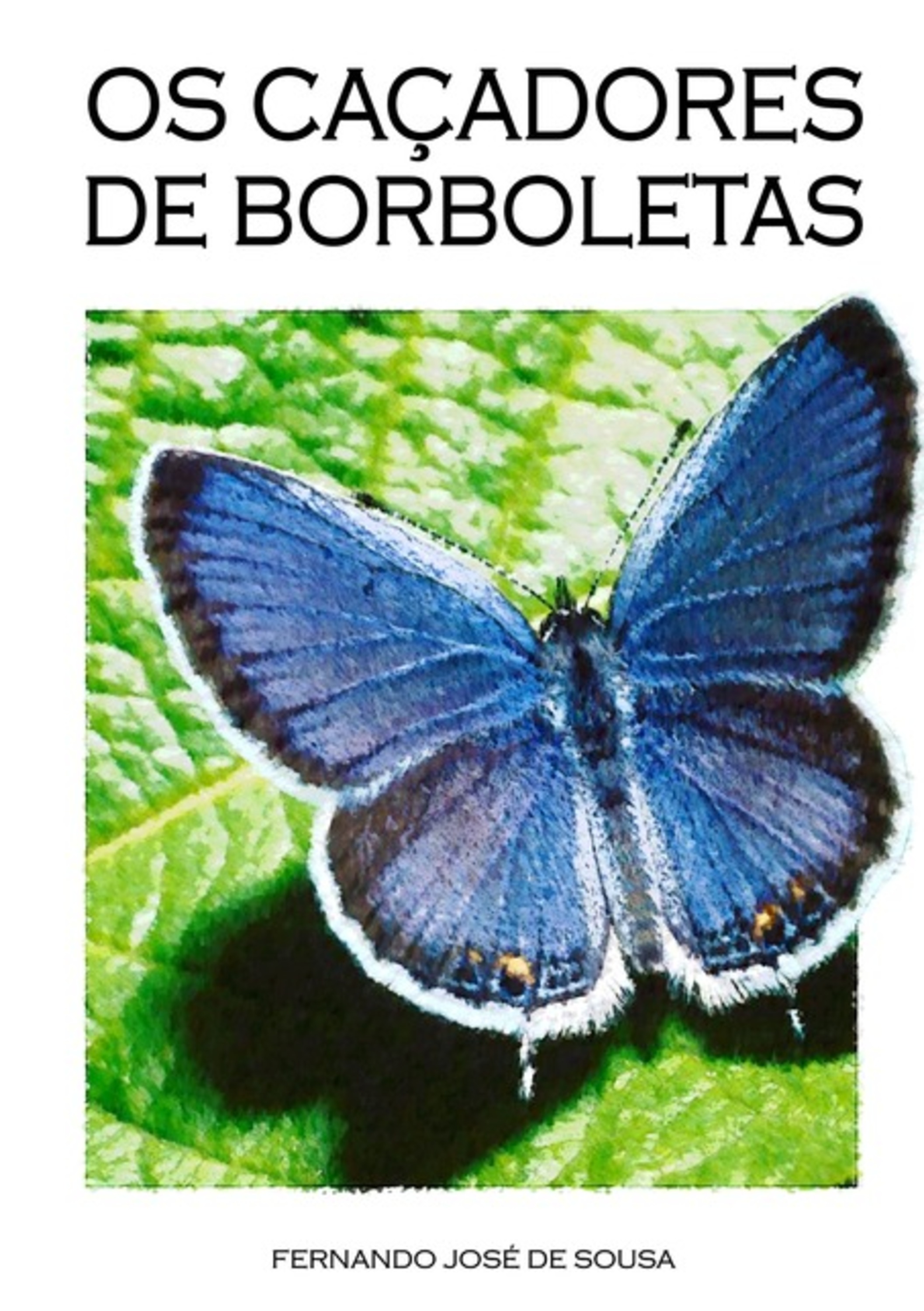 Os Caçadores De Borboletas