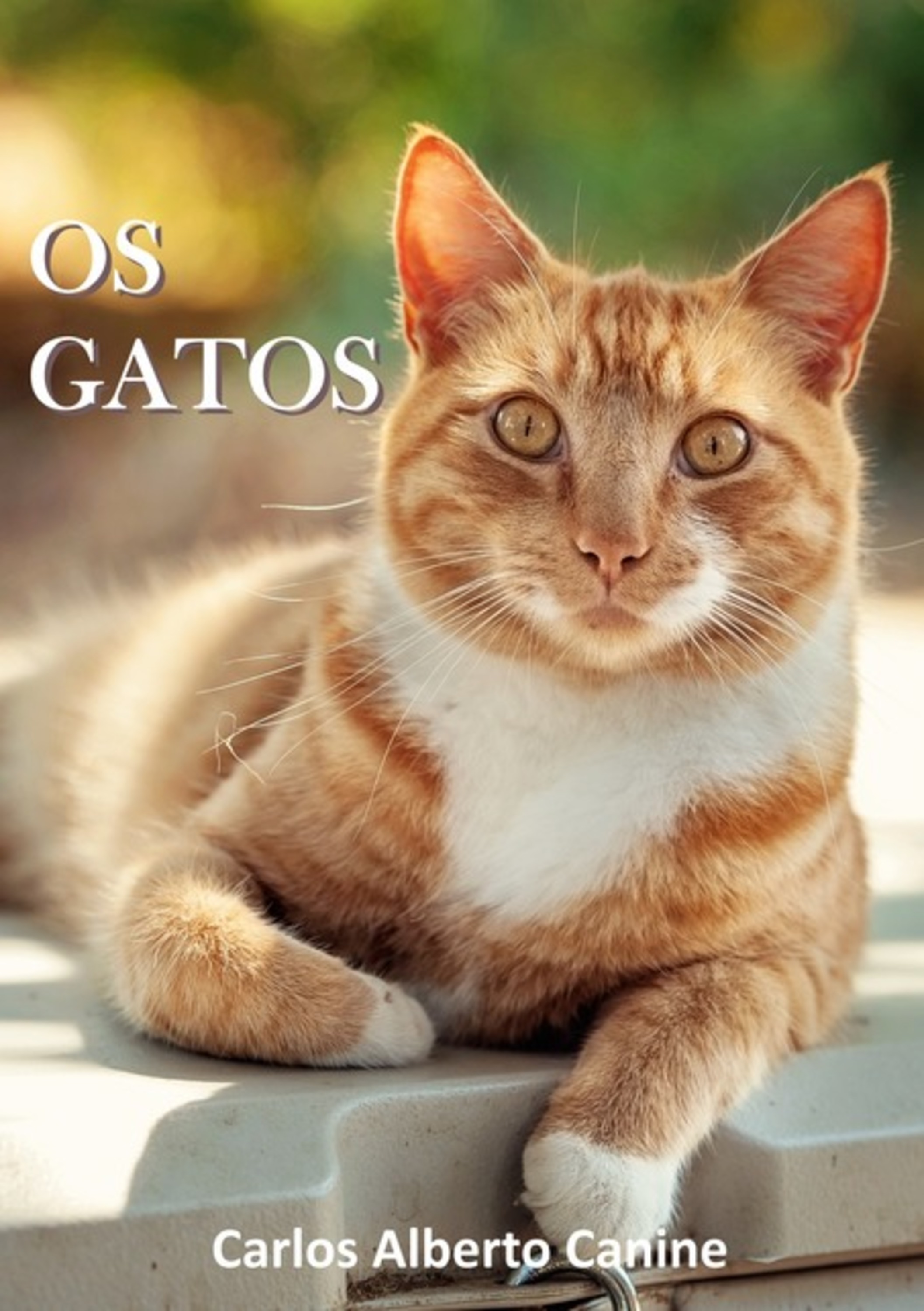 Os Gatos