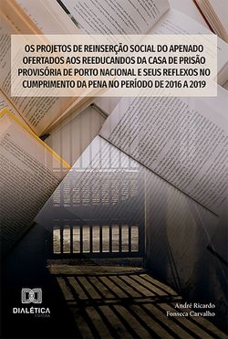 Os projetos de reinserção social do apenado ofertados aos reeducandos da Casa de Prisão Provisória de Porto Nacional e seus reflexos no cumprimento da pena no período de 2016 a 2019