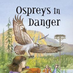 Ospreys in Danger