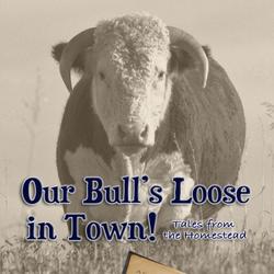 Our Bull's Loose in Town