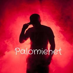 Palomiehet 