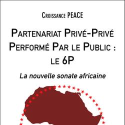 Partenariat Privé-Privé Performé Par le Public : le 6P