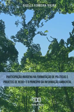 Participação indígena na formatação de políticas e projetos de REDD+ e o princípio da informação ambiental