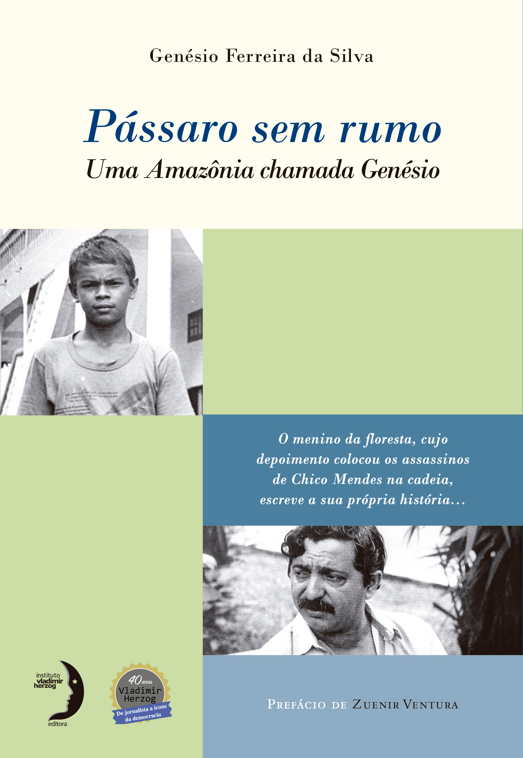 Pássaro sem rumo