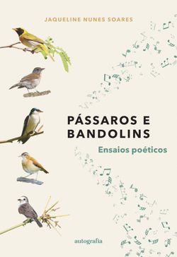 Pássaros e bandolins: ensaios poéticos